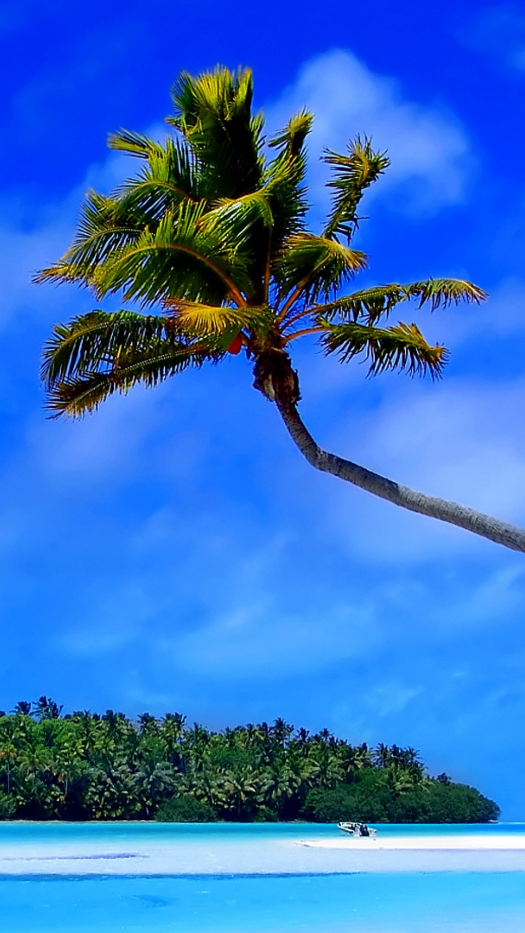 Caribbean Islands: Home to the El Yunque National Forest in Puerto Rico and the Bob Marley Museum in Jamaica. 1080x1920 Full HD Background.
