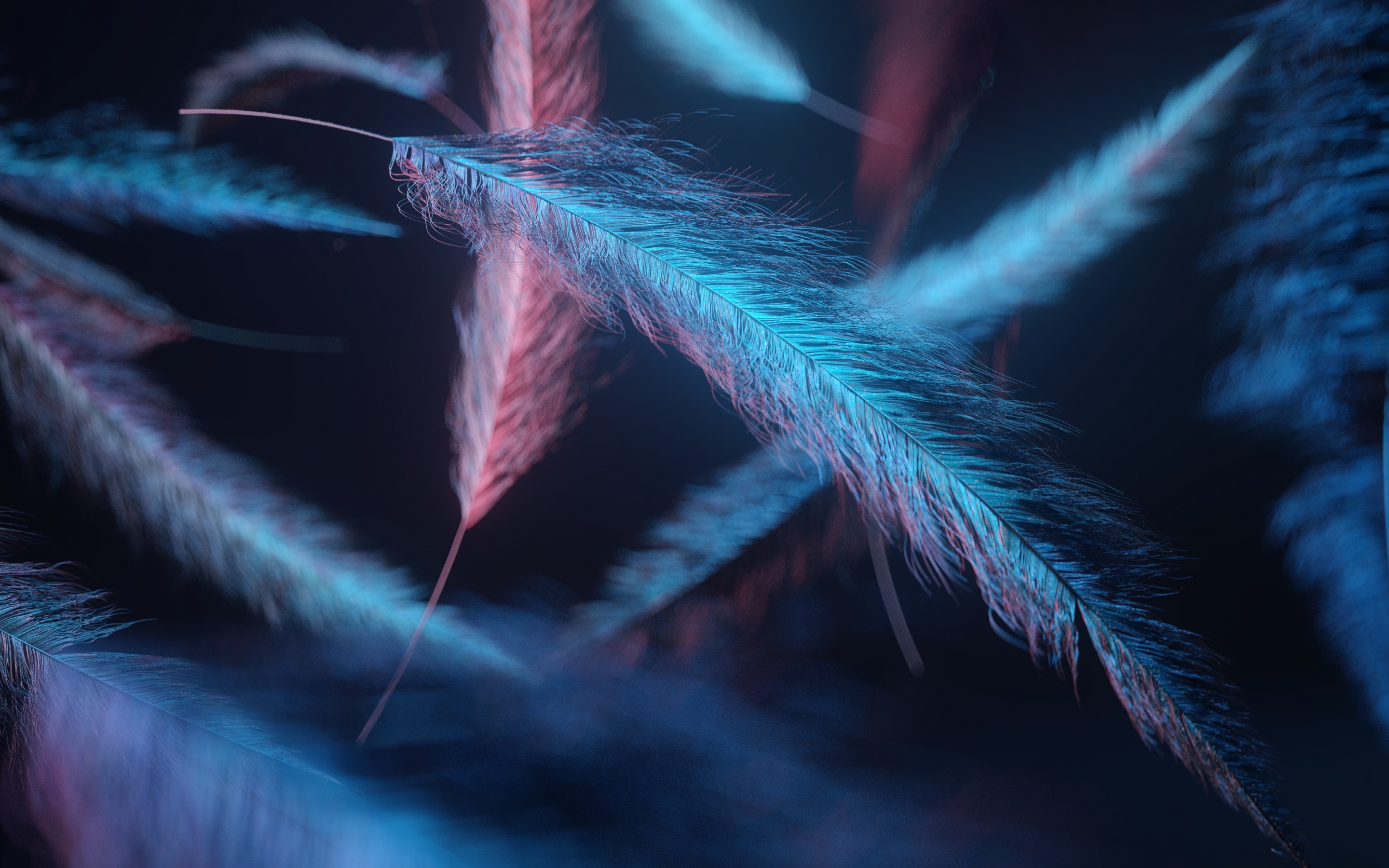 Feather: One of the soft, fringed plumes that cover the bodies of birds. 2880x1800 HD Background.