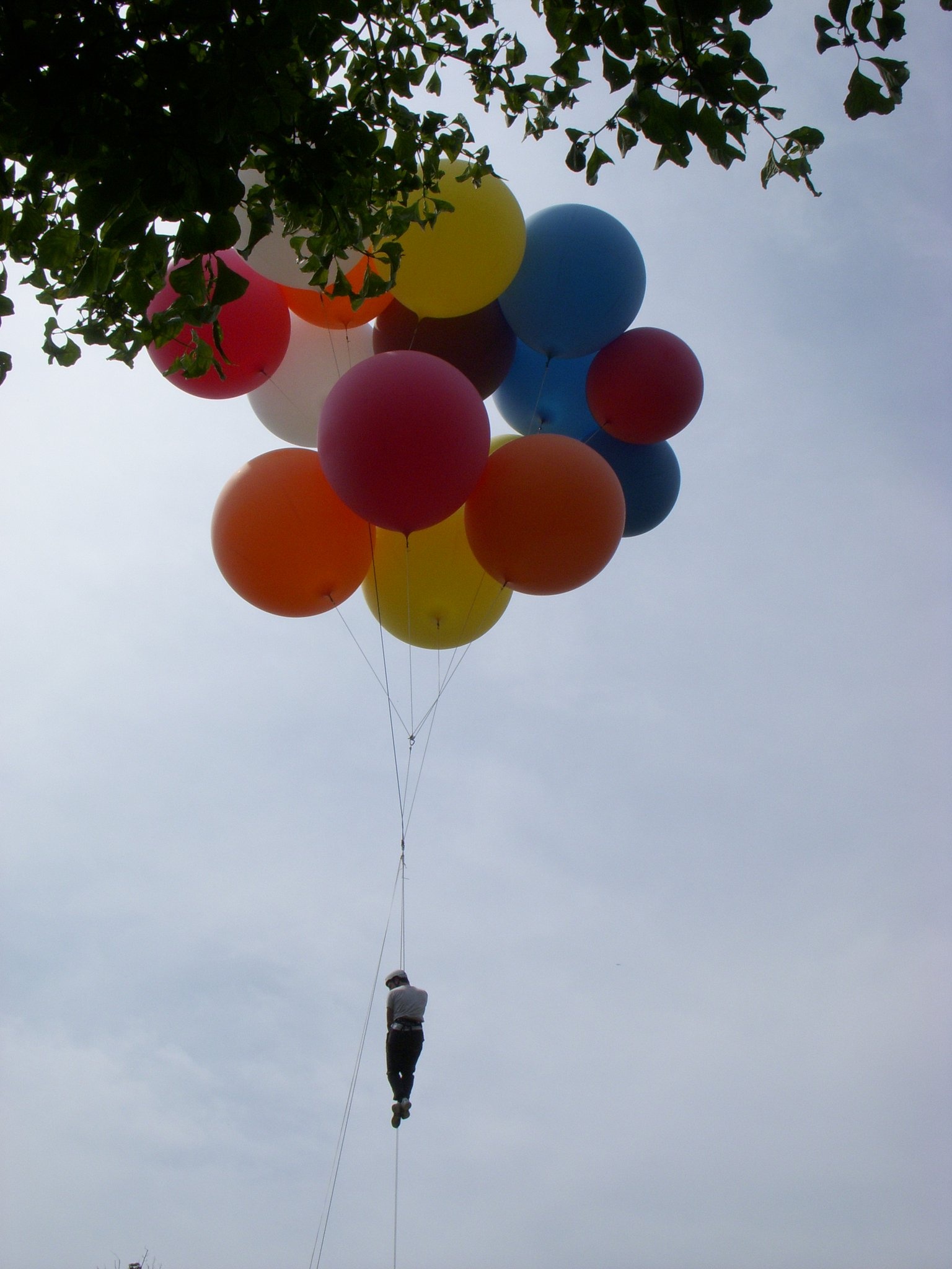 Cluster Ballooning: Emma Steinhardt uses a cluster of helium-inflated rubber balloons to fly. 1540x2050 HD Background.