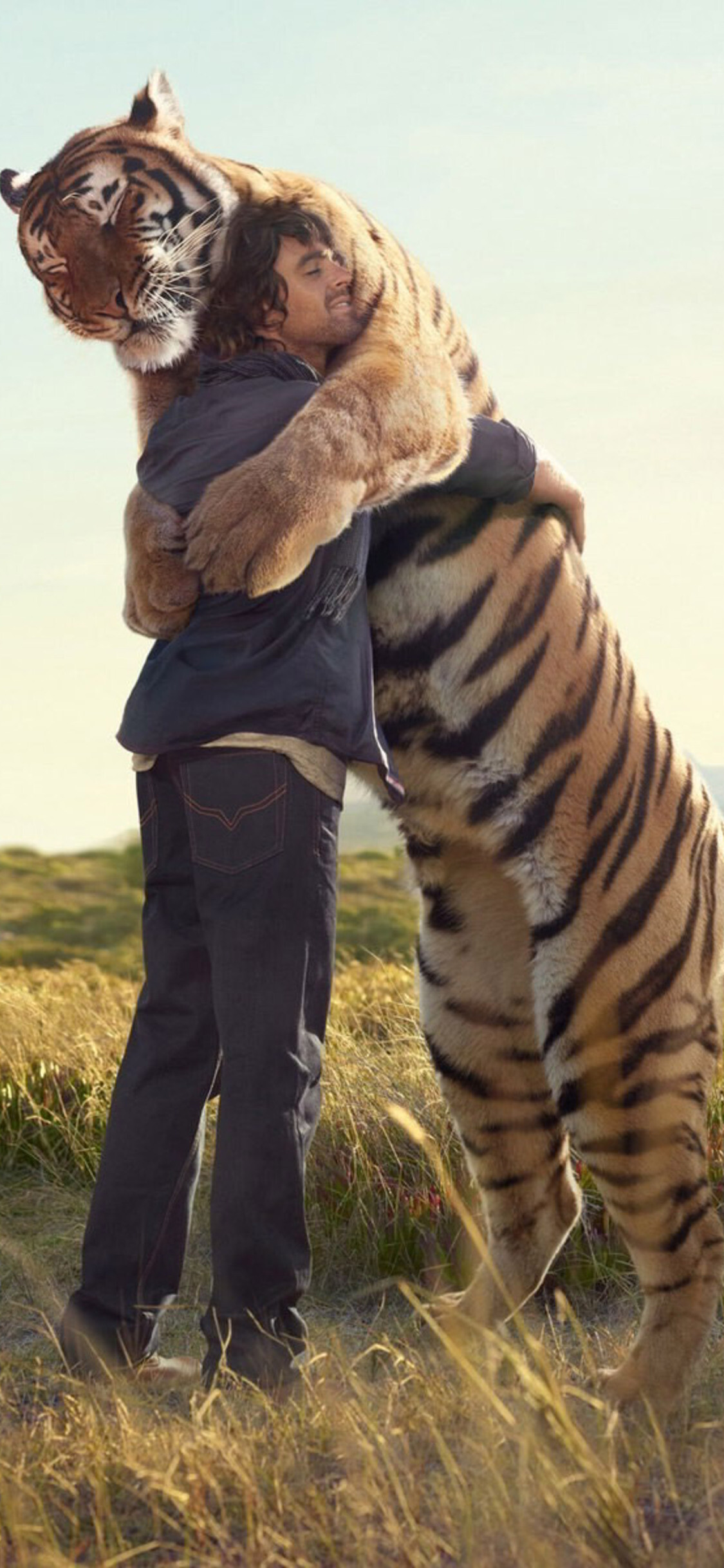 Tiger hug, iPhone XS wallpaper, Incredible detail, Majestic encounter, 1130x2440 HD Phone