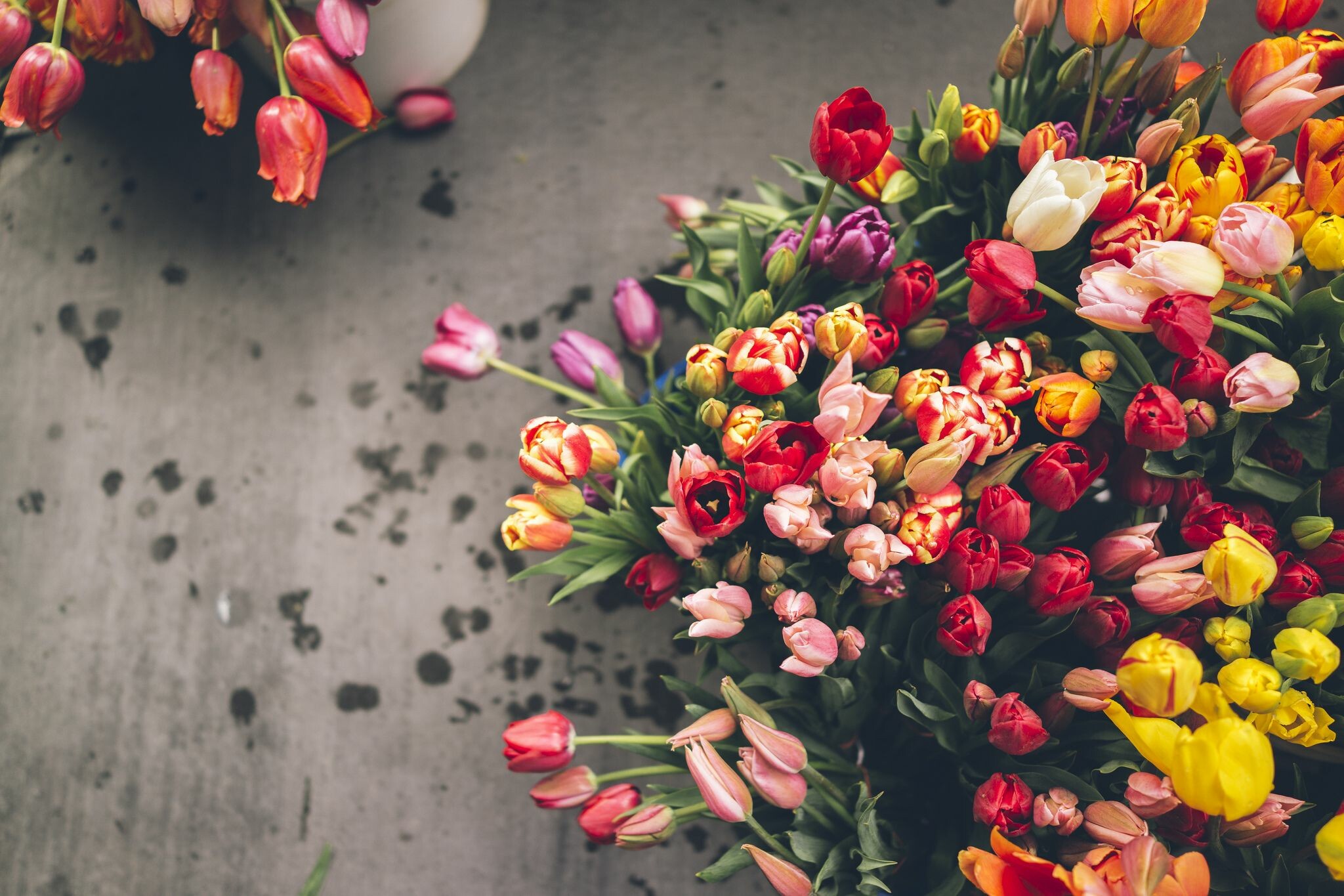Flower Bouquet: An arrangement of flowers, Tulips, Colorful. 2050x1370 HD Wallpaper.