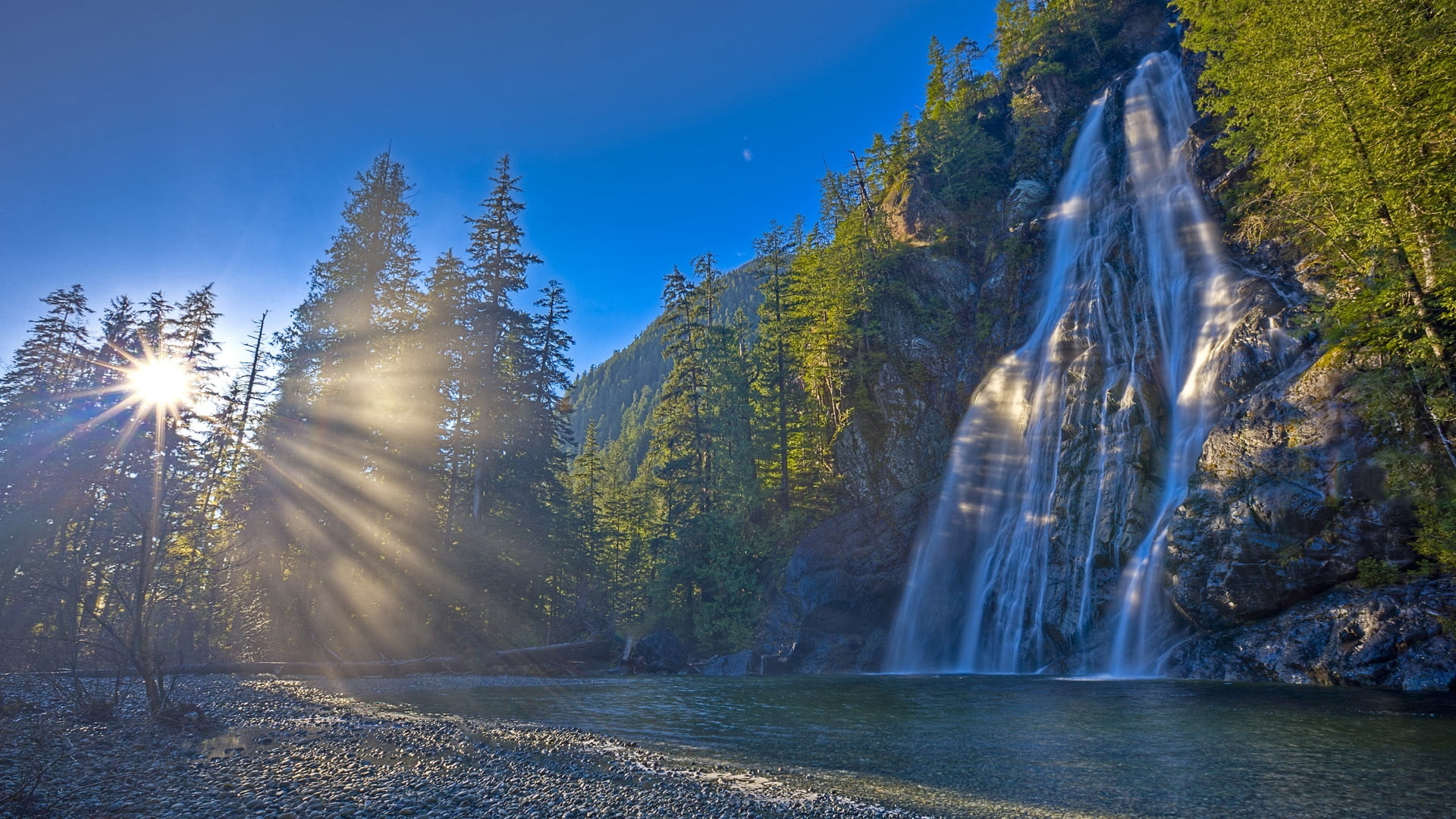Waterfall, Forest landscape, Daytime, Spruce trees, 1920x1080 Full HD Desktop