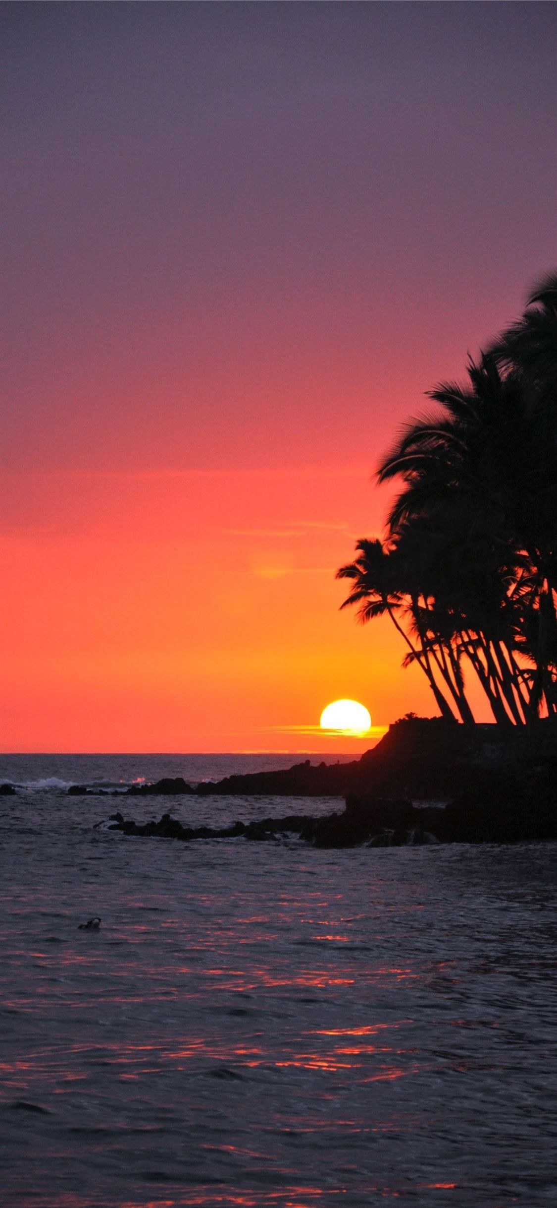 Hawaiian sunset, Magical moment, Vibrant colors, Island paradise, 1130x2440 HD Handy