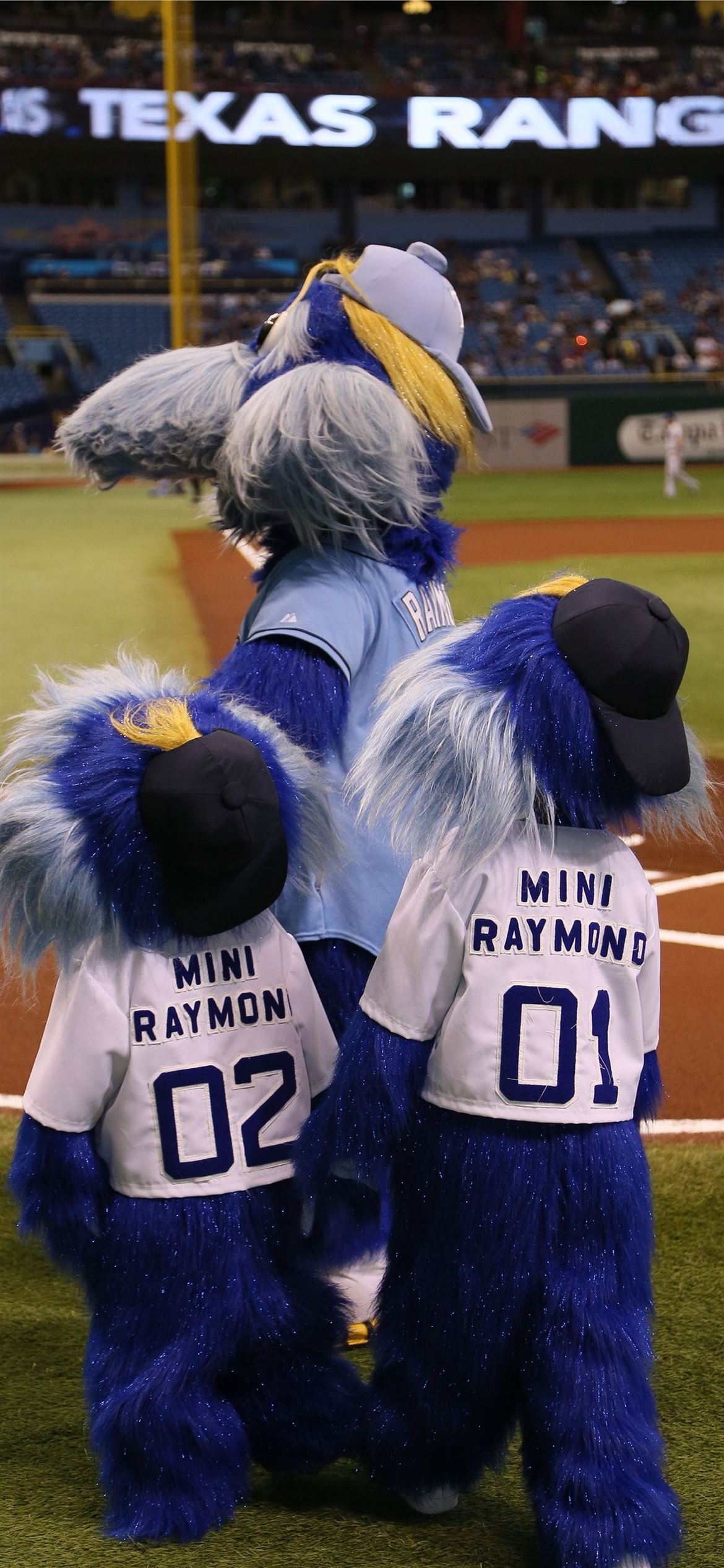Tampa Bay Rays, iPhone wallpapers, Download for free, Mobile customization, 1170x2540 HD Phone