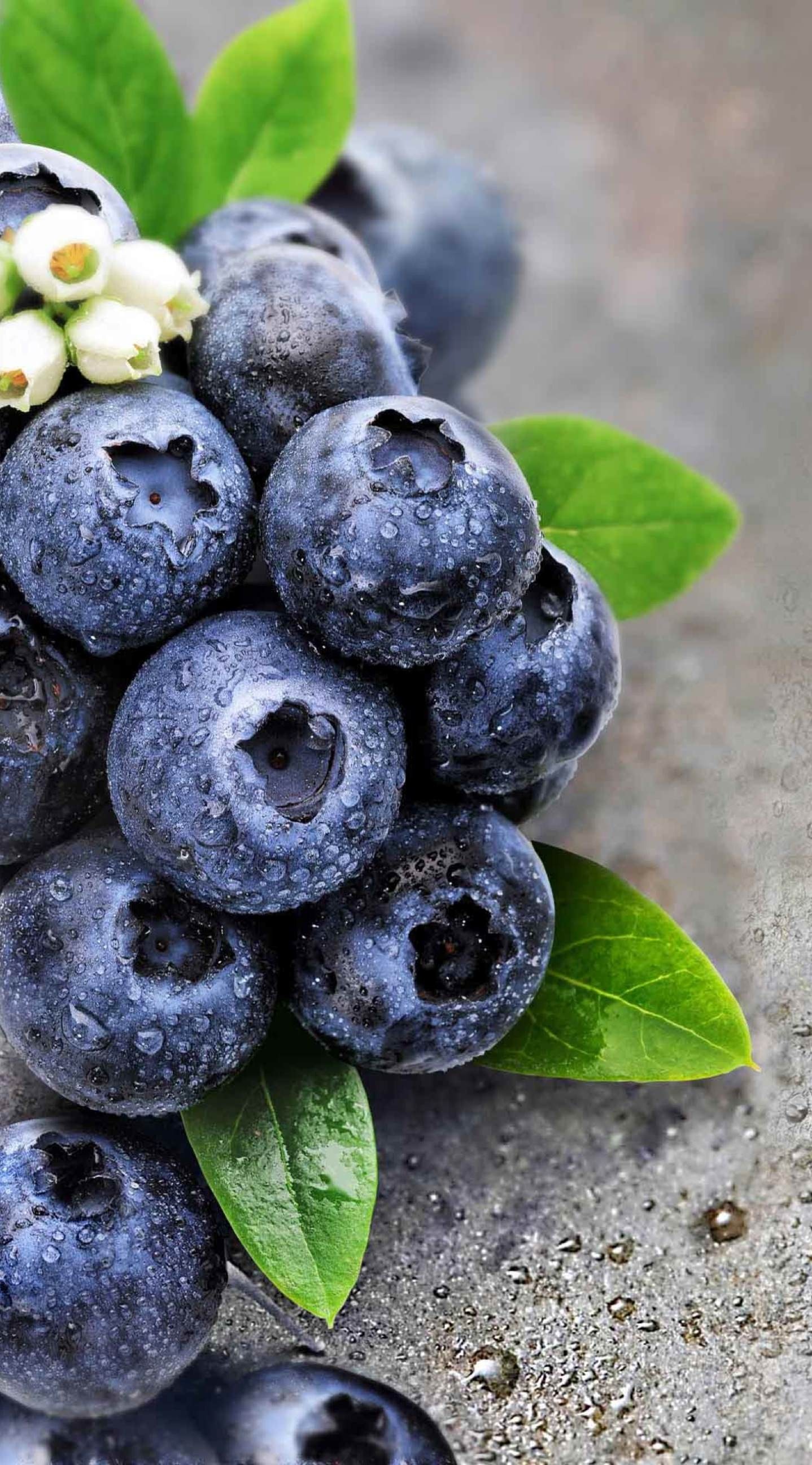Awesome blueberry wallpaper, Stunning visual, High-definition, Wallpaper perfection, 1440x2600 HD Phone
