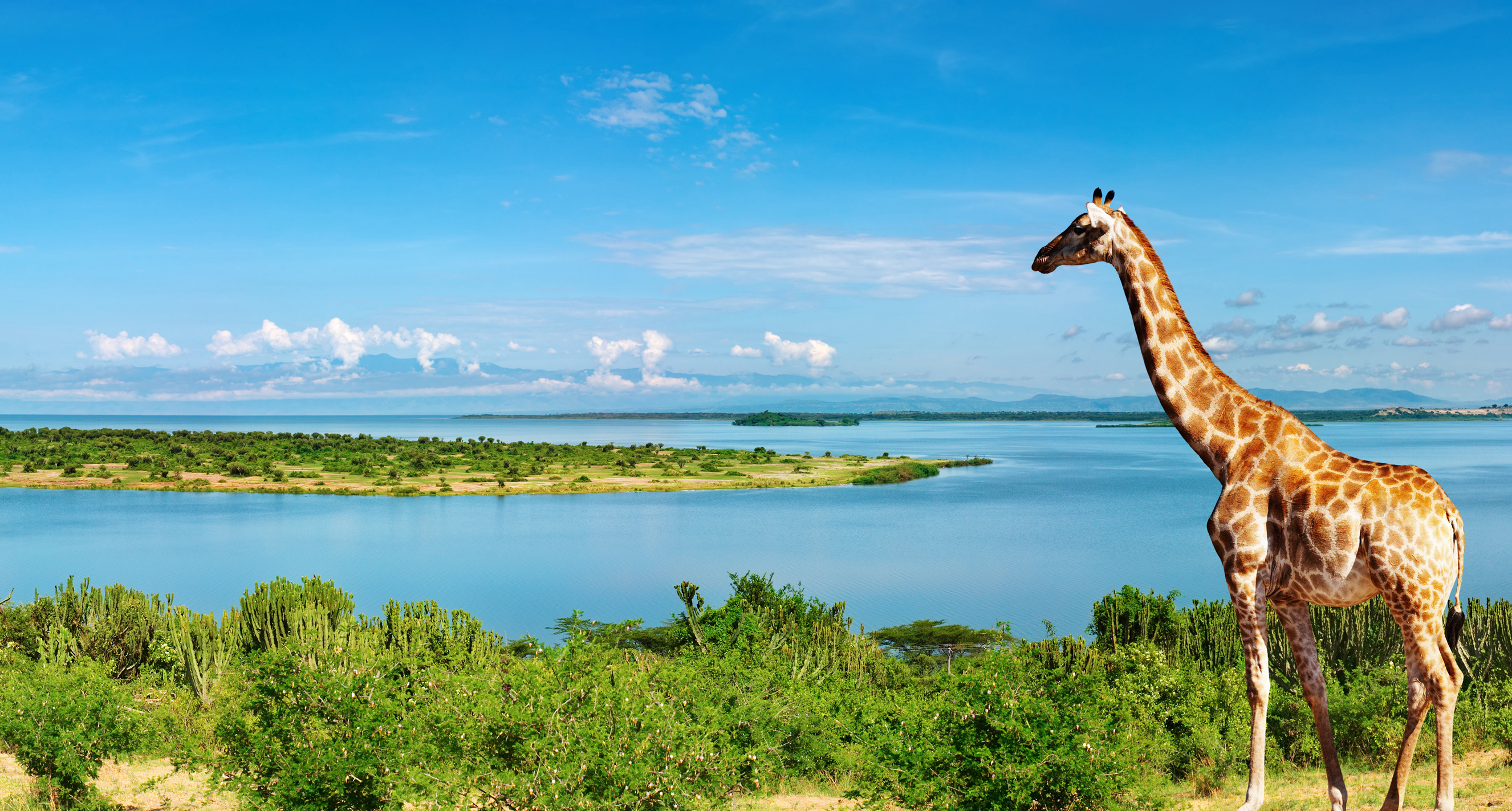 Uganda travels, Nile river, African beauty, 2660x1430 HD Desktop