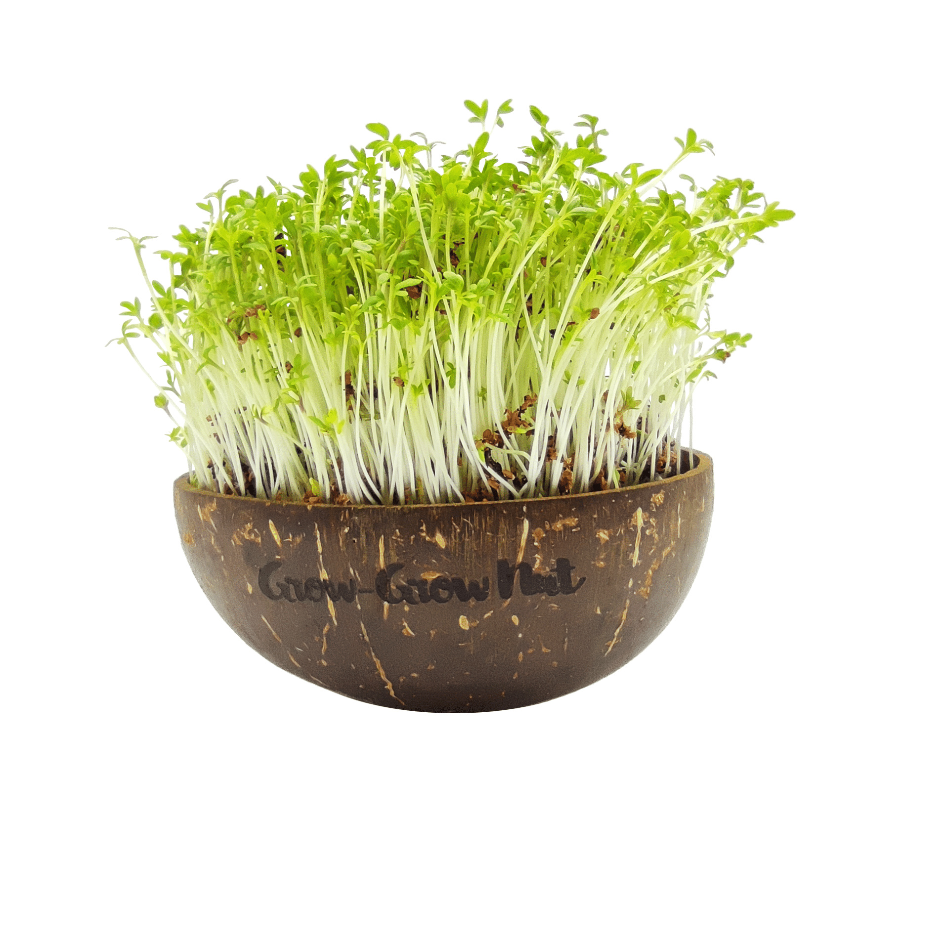 Microgreens, Grow your own, Nut-filled packet, Fresh homegrown, 1920x1920 HD Phone