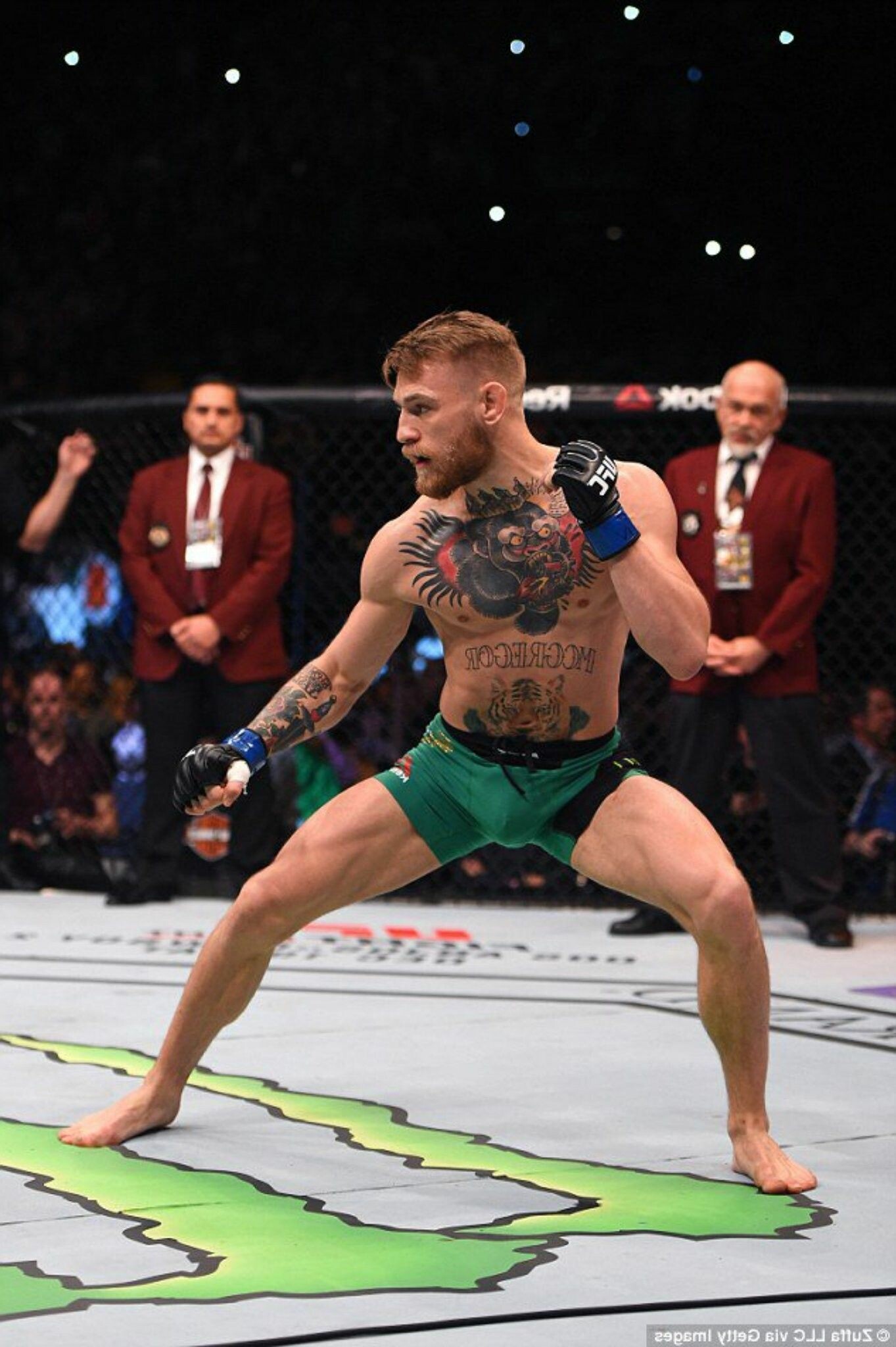 Conor McGregor: He defeated Dennis Siver on 18 January 2015 at UFC Fight Night 59. 1370x2050 HD Background.