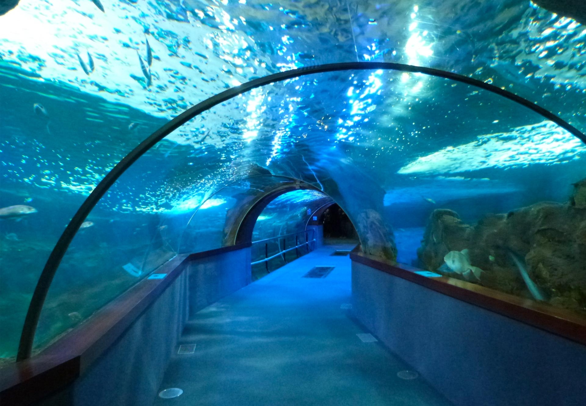 Aquarium du Pays basque, vadez-vous en Euskadi, Muse Guggenheim Bilbao, Cascade d'motions, Explorez la faune sous-marine, 1920x1330 HD Desktop