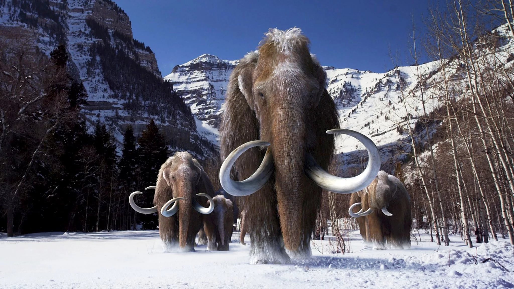 Mammoth wallpapers, Posted by Michelle Thompson, Mammoth images, Michelle Thompson's wallpapers, 2050x1160 HD Desktop