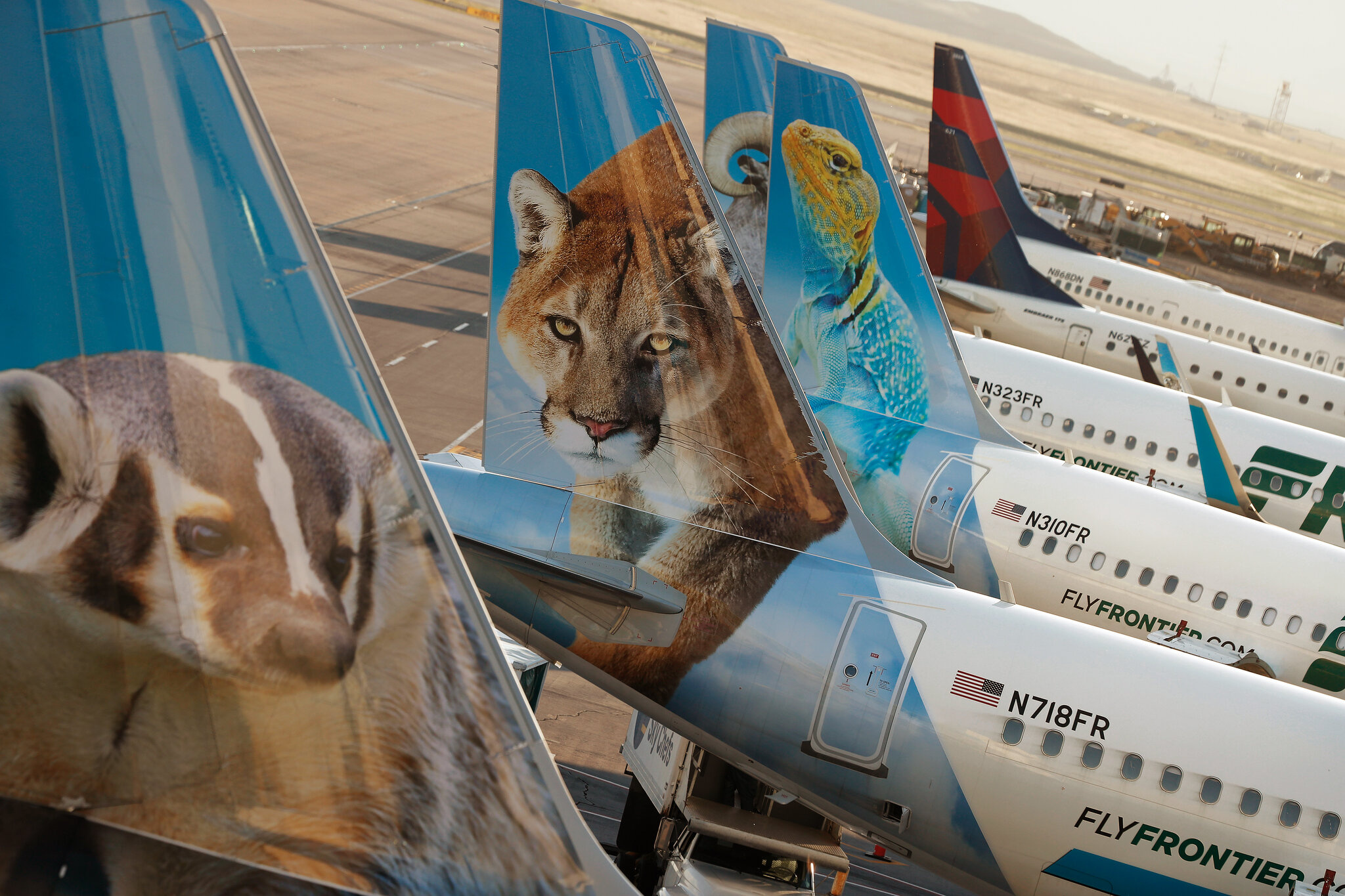 Frontier Airlines, Travel industry recovery, Positive outlook, The New York Times, 2050x1370 HD Desktop
