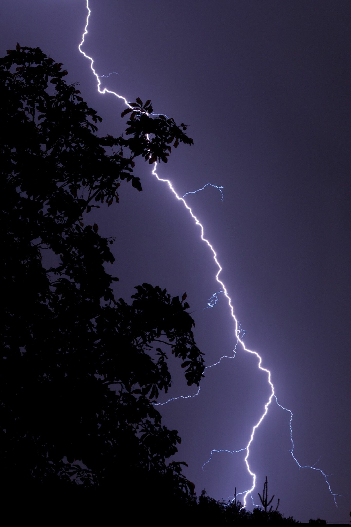 Aesthetic thunder, Atmospheric drama, Lightning whispers, Stormy beauty, 1370x2050 HD Phone
