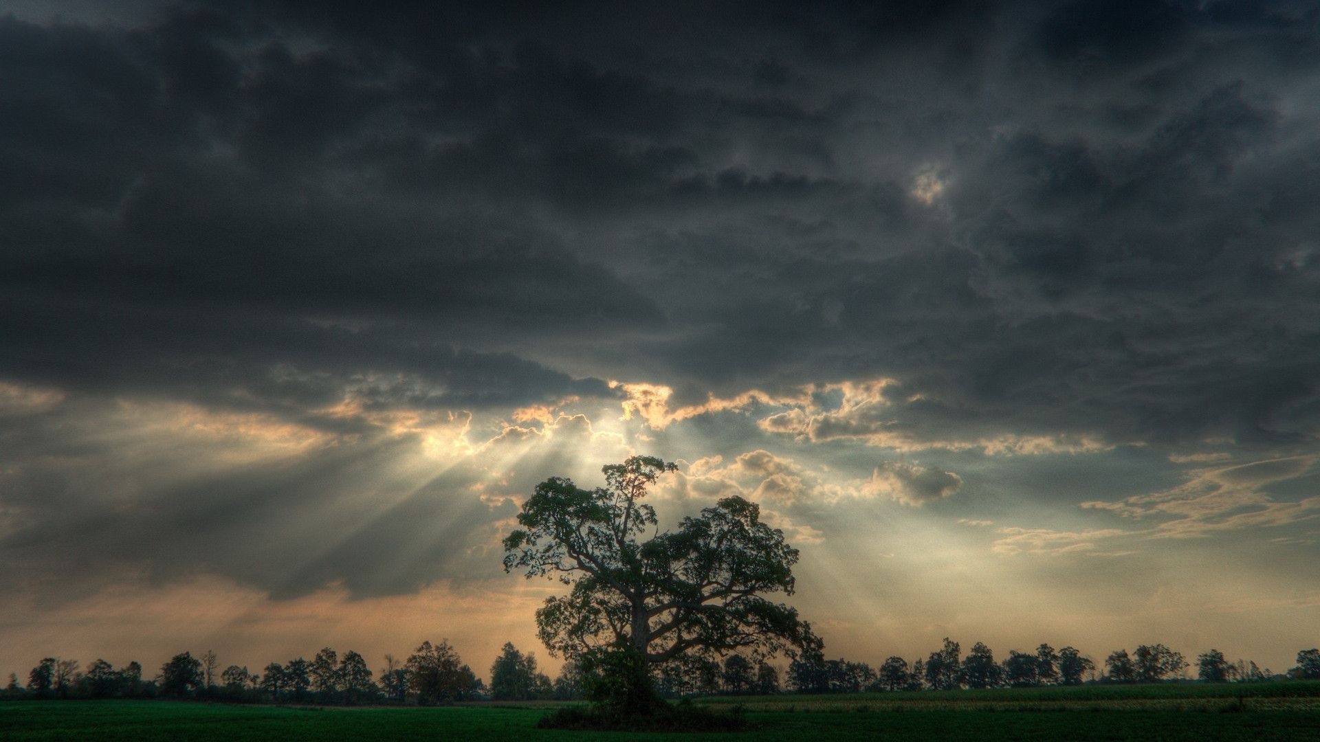 Gray Cloudy Sky: Spectacular natural countryside, Rays of the setting sun, barely making their way through the clouds. 1920x1080 Full HD Background.