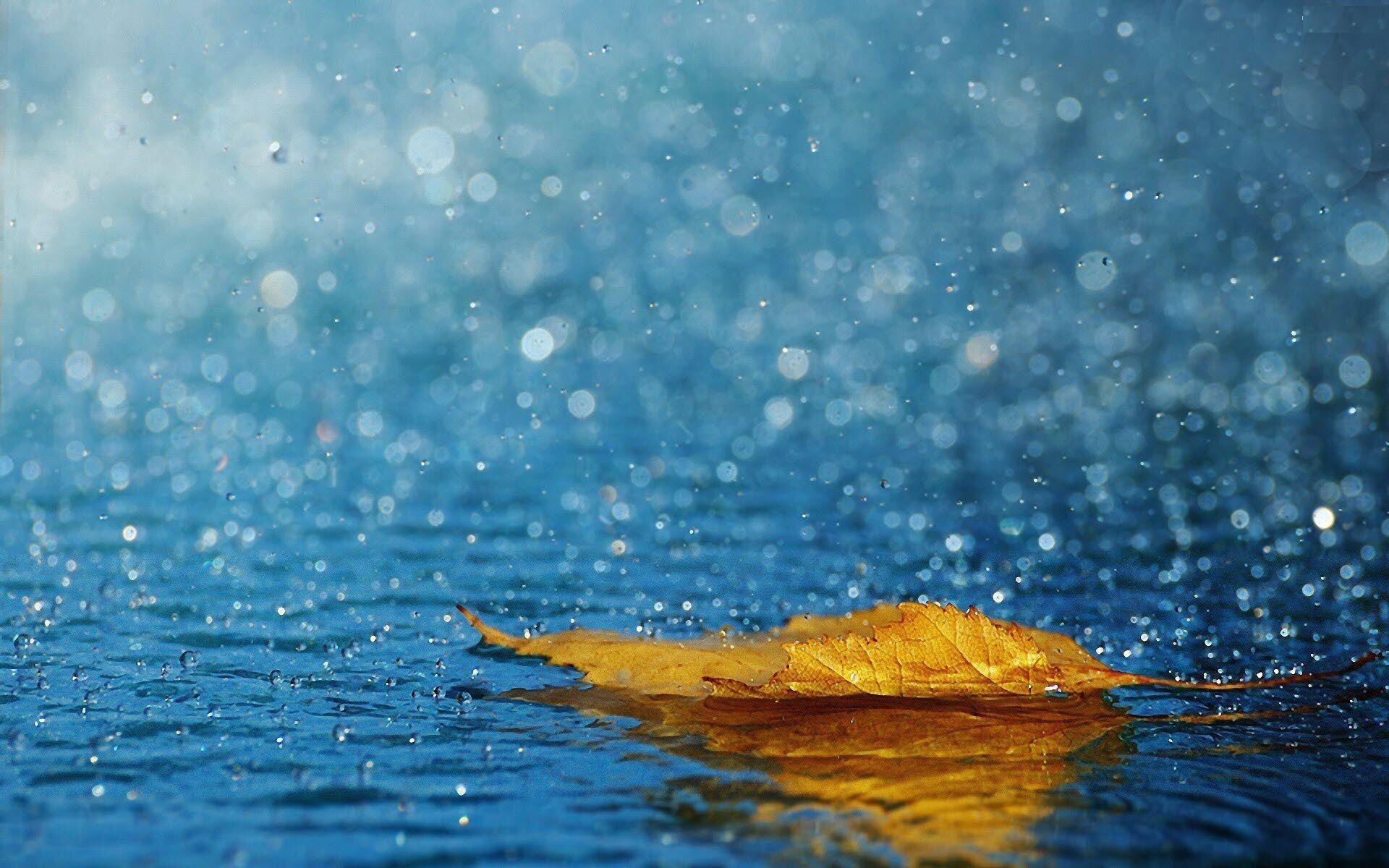Rain: Precipitation from clouds in the form of drops of water. 1920x1200 HD Background.