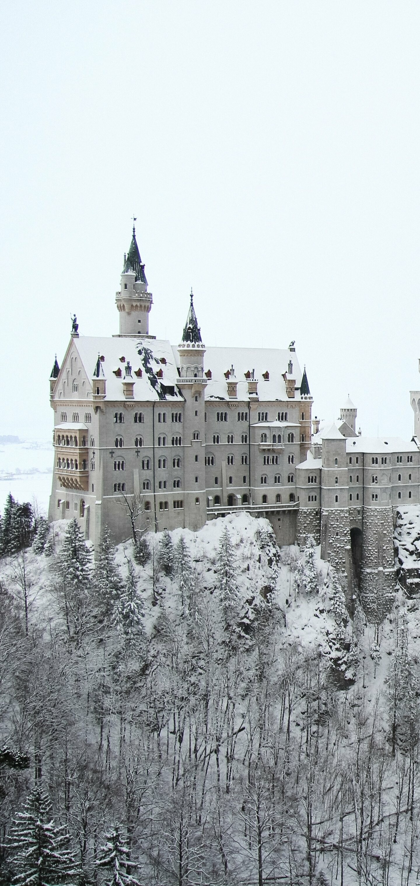 Neuschwanstein Castle: One of the last significant palace buildings in the 19th century, Germany. 1440x3040 HD Background.