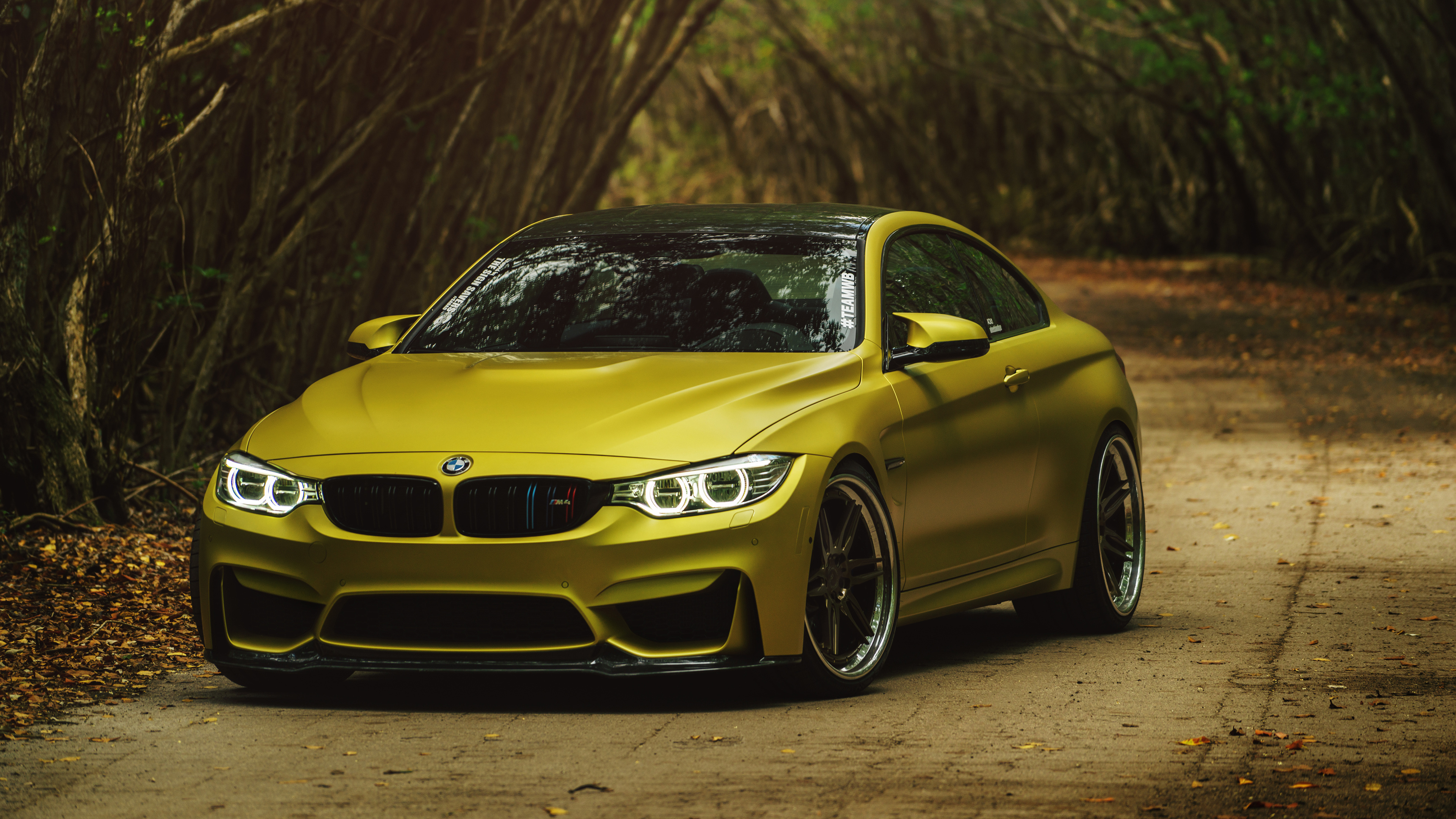 BMW M4, Forest backdrop, Car wallpaper, 3840x2160 4K Desktop