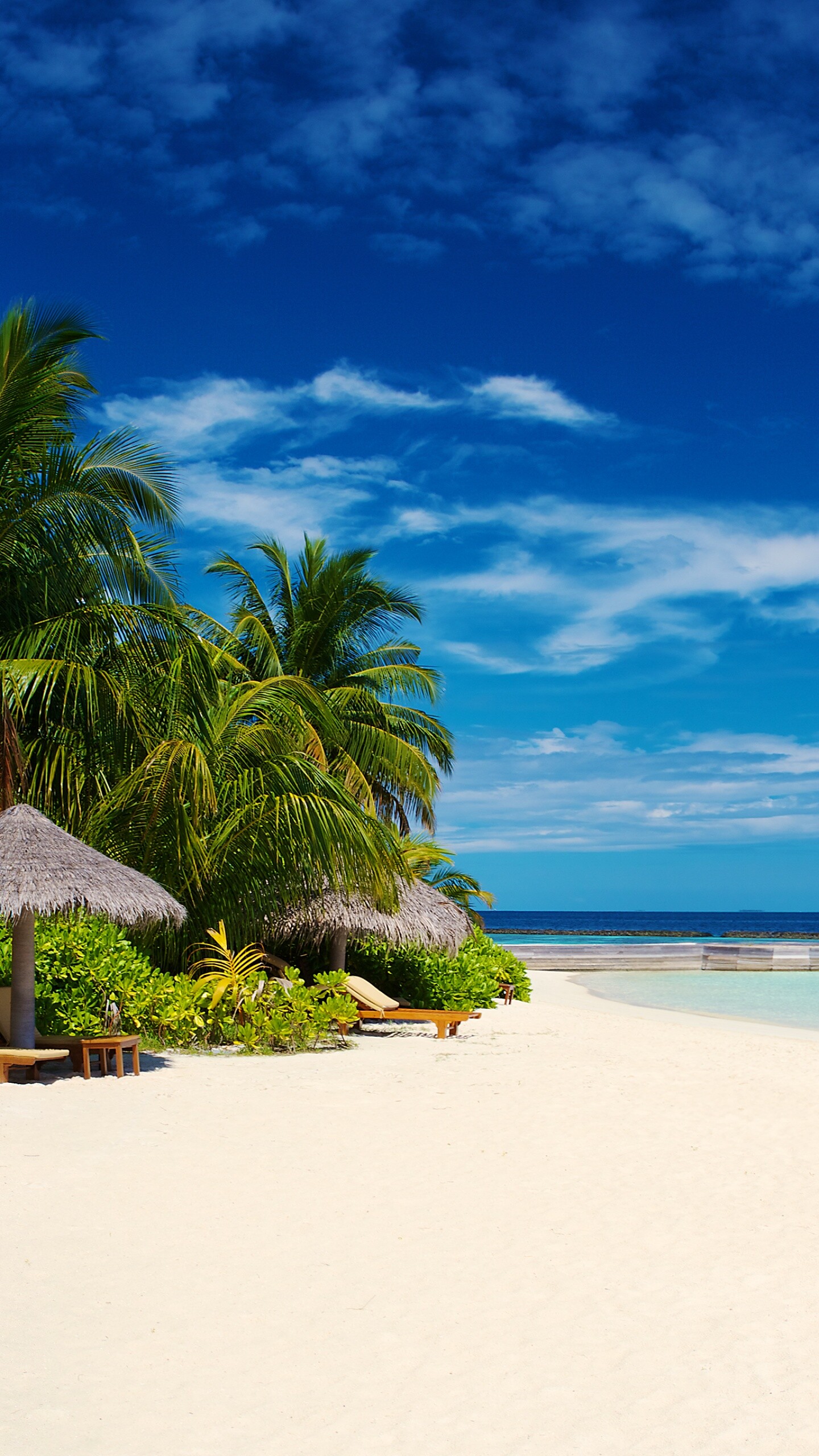 Baros Maldives, Island beauty, Tropical paradise, Blue skies, 1440x2560 HD Phone