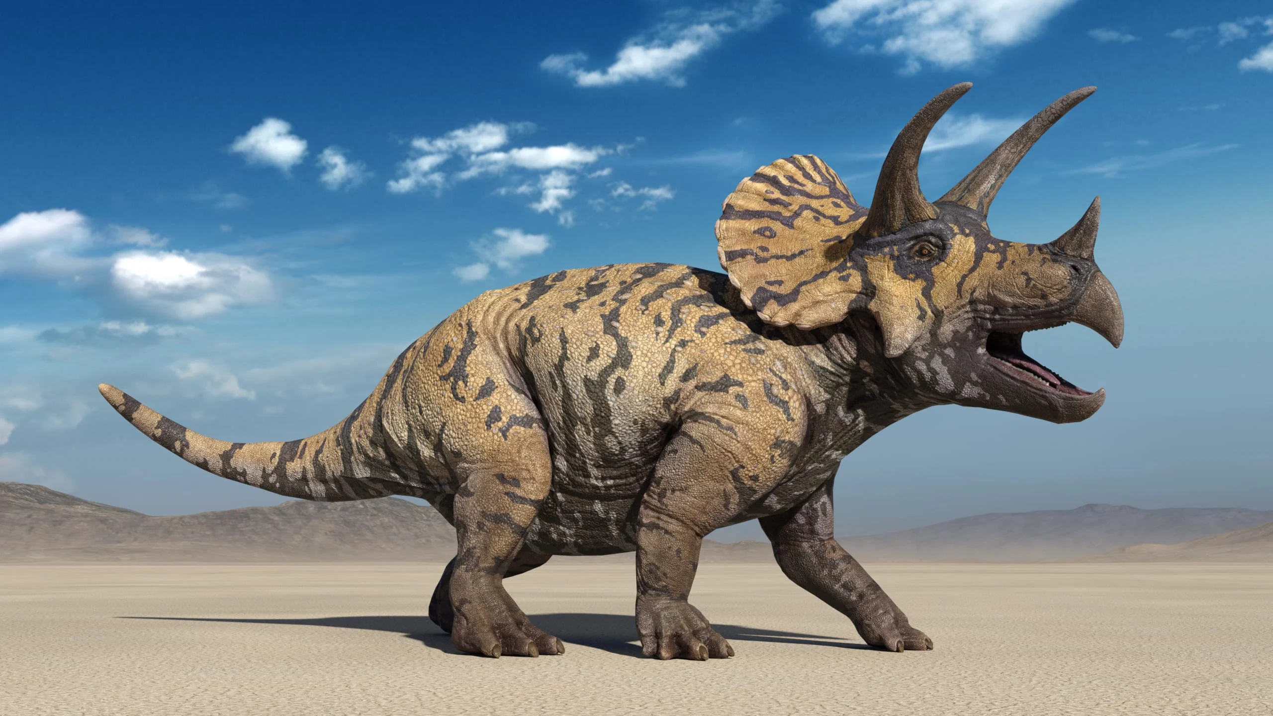 Triceratops, Herbivorous dinosaur, Dinosaur facts, Tri-horned creature, 2560x1440 HD Desktop