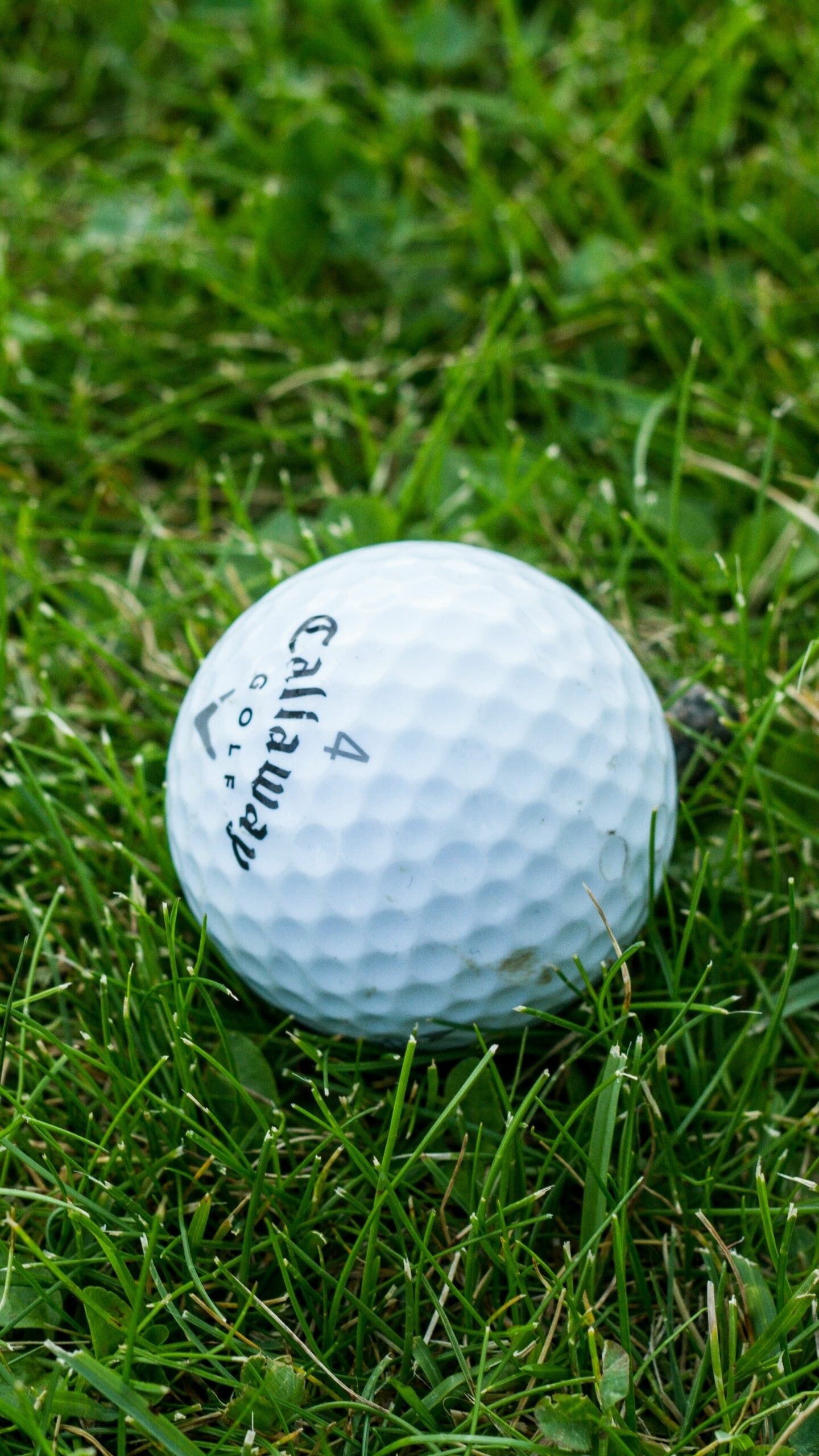 Golf: Ball, Sports equipment, A club-and-ball sport. 1440x2560 HD Wallpaper.