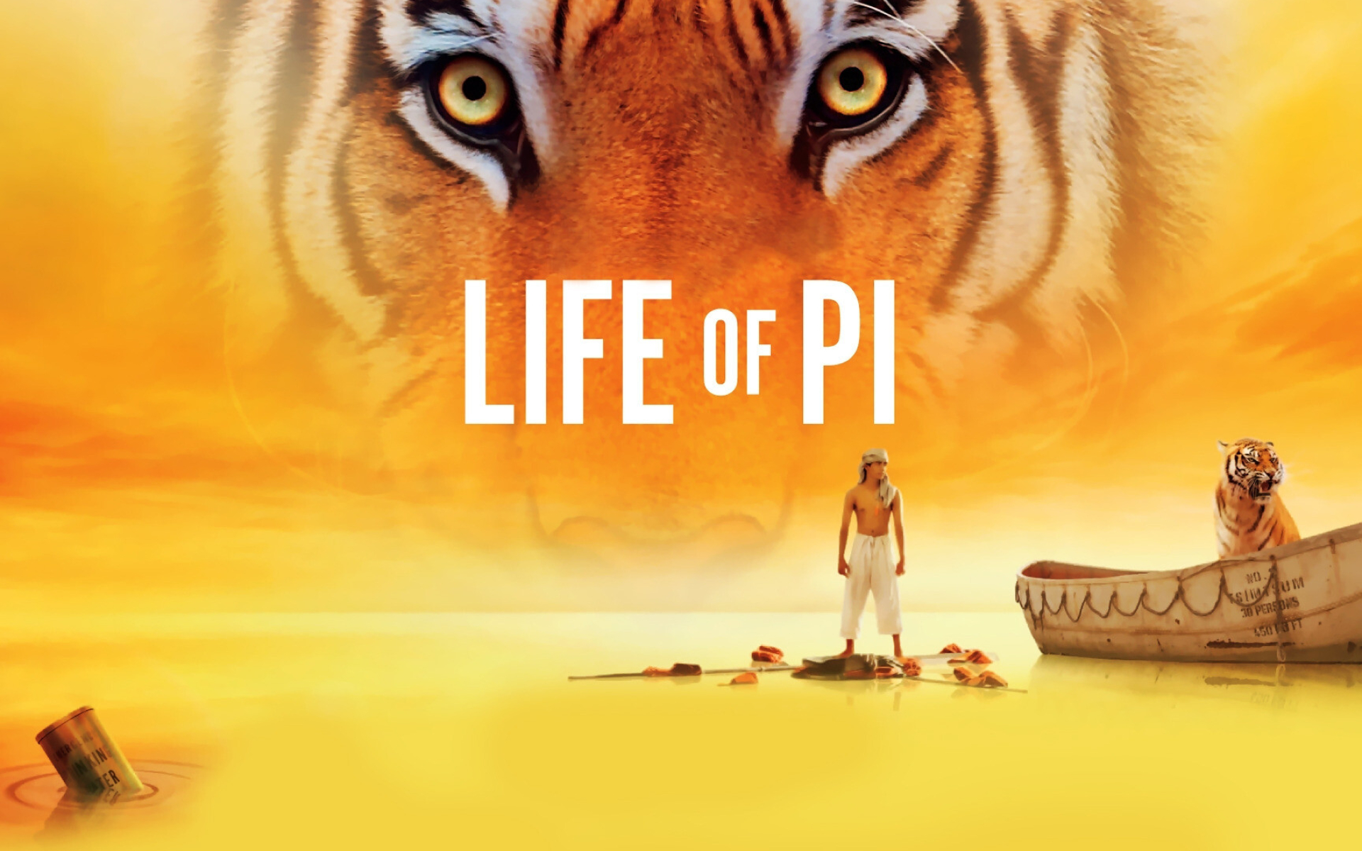 Life of Pi: Lee has created a superbly balanced motion picture that moves special effects and 3D beyond the realm of pure entertainment augmentation, 2012, Movie. 1920x1200 HD Background.