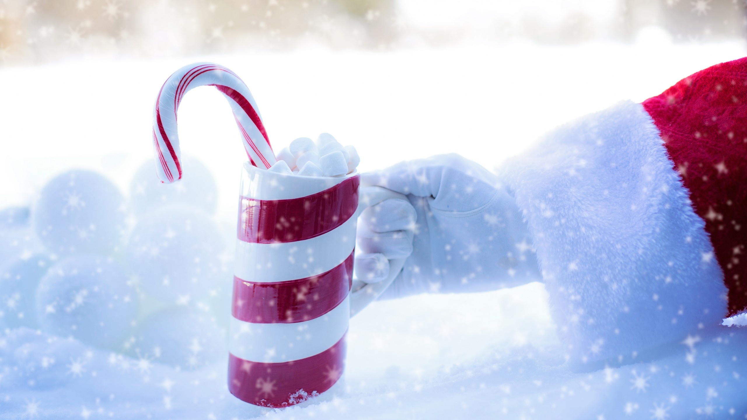 Santa's candy cup, Snowy winter delight, Christmas sweetness, Festive decoration, 2560x1440 HD Desktop