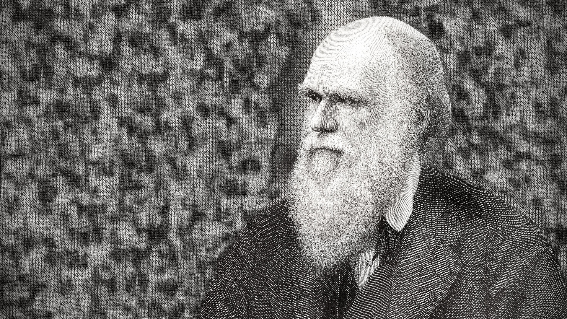 Charles Darwin: Published his theory of evolution with compelling evidence in his 1859 book On the Origin of Species. 1920x1080 Full HD Background.