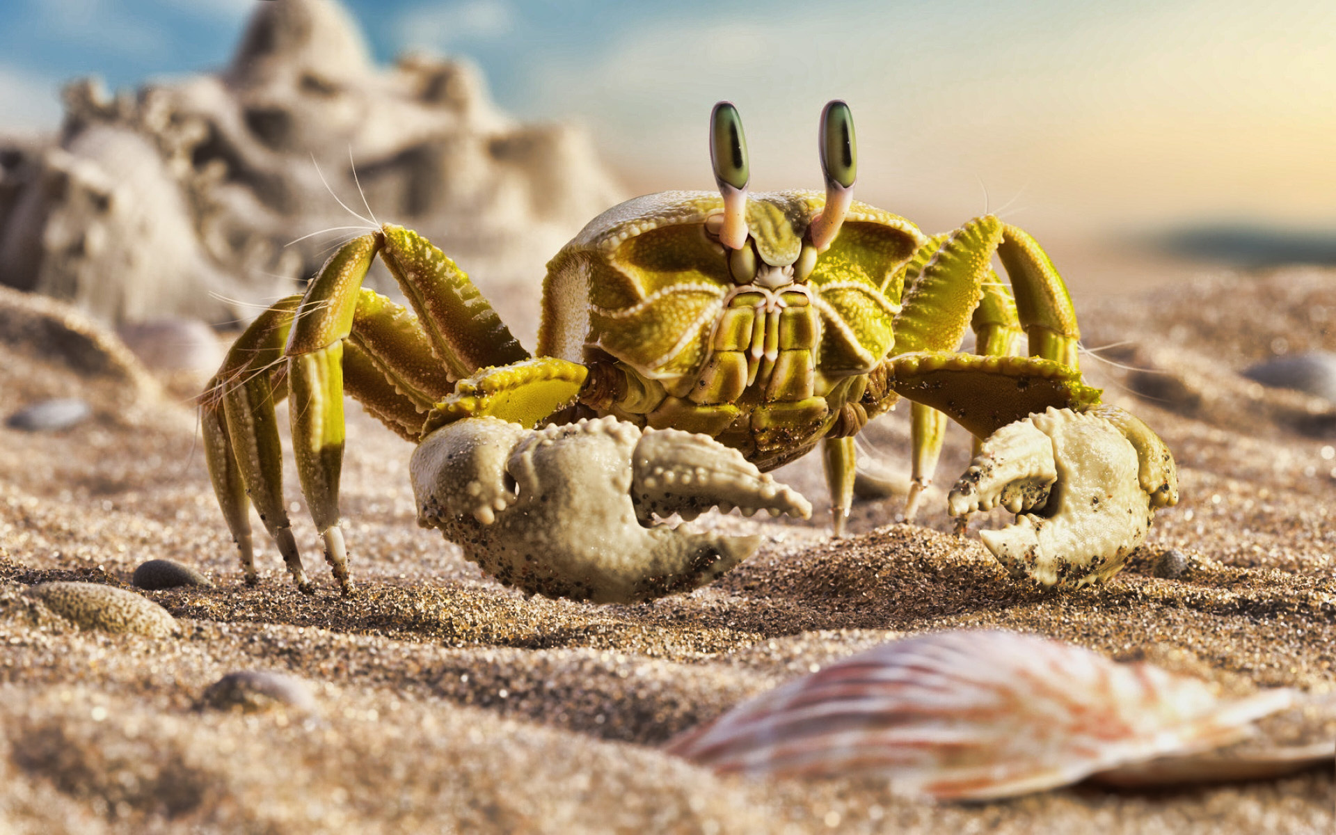 Crab: Animals, Beach, Cannot grow in a linear fashion. 1920x1200 HD Background.