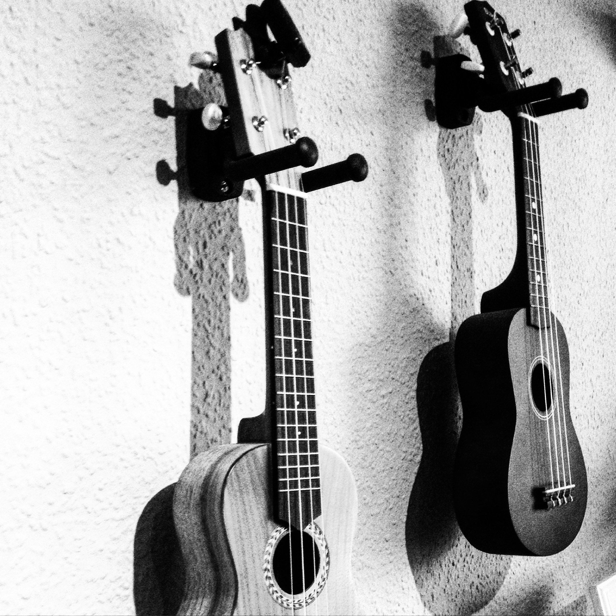 Ukulele: Black and white, Shape similar to that of a small acoustic guitar, Kamaka Ukulele company. 2150x2150 HD Background.