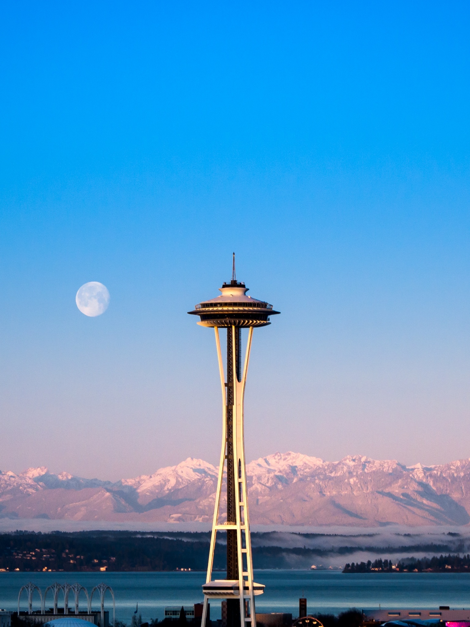 Seattle, Space Needle, Modern landmark, Architectural wonder, 1540x2050 HD Phone