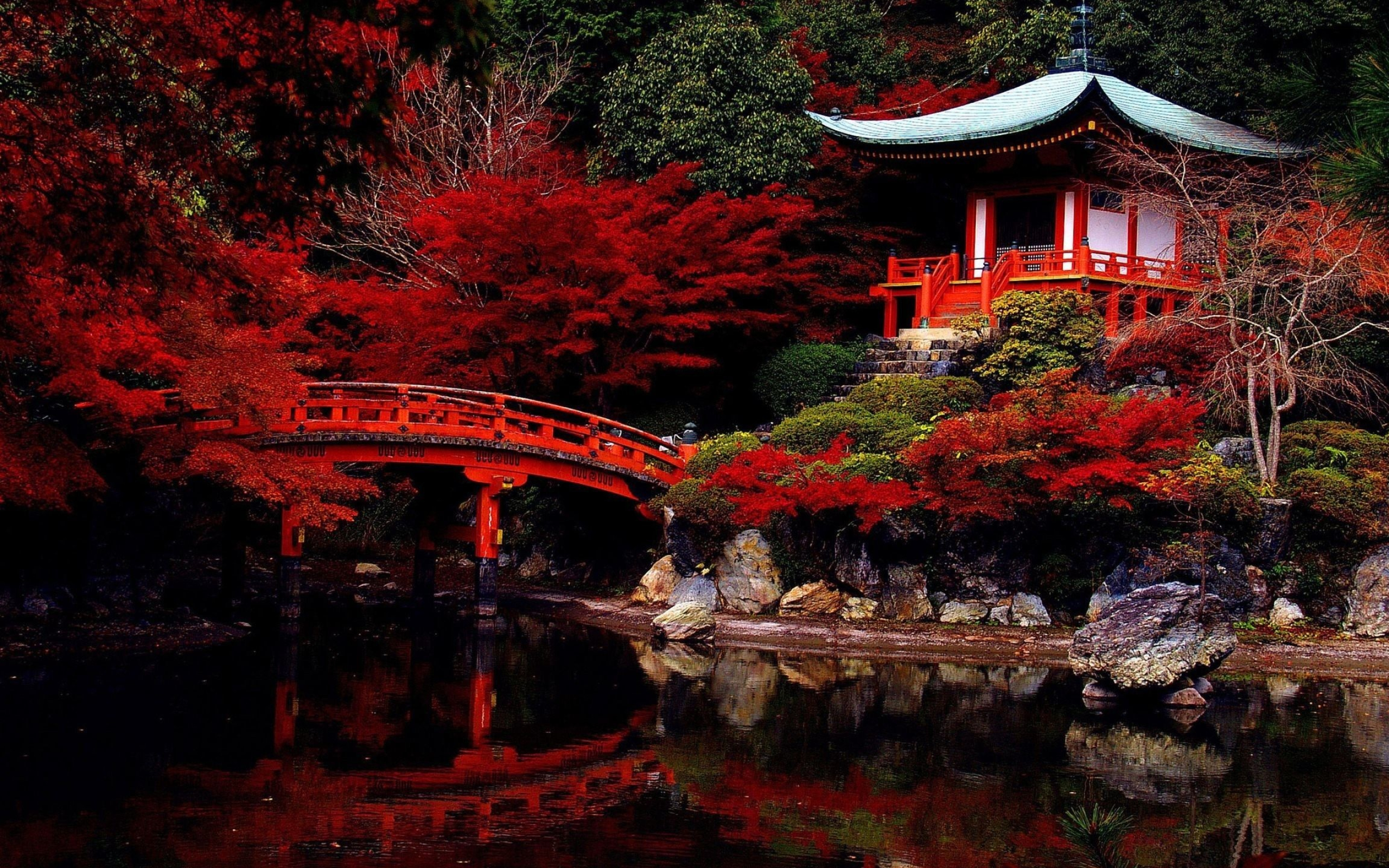 Autumn in Kyoto, Vibrant Foliage, Serene Beauty, Seasonal Magic, 2560x1600 HD Desktop
