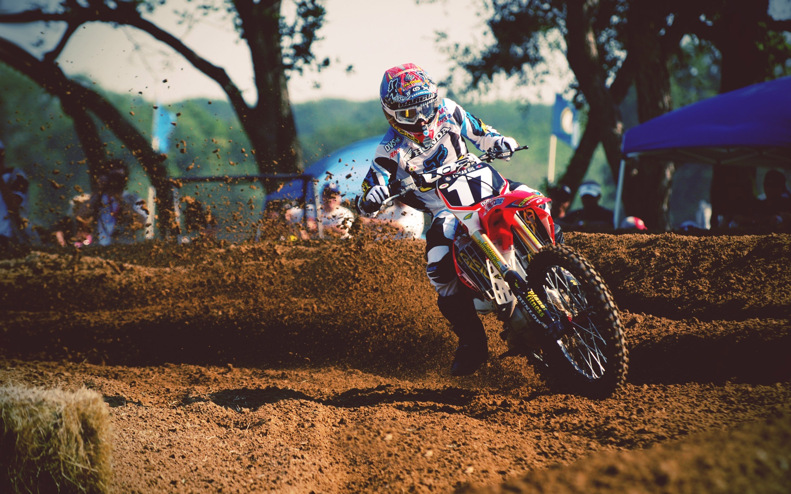 Motocross: AMA Supercross Championship, Dirt Bike Racing, Motorcycle Racer. 2560x1600 HD Wallpaper.