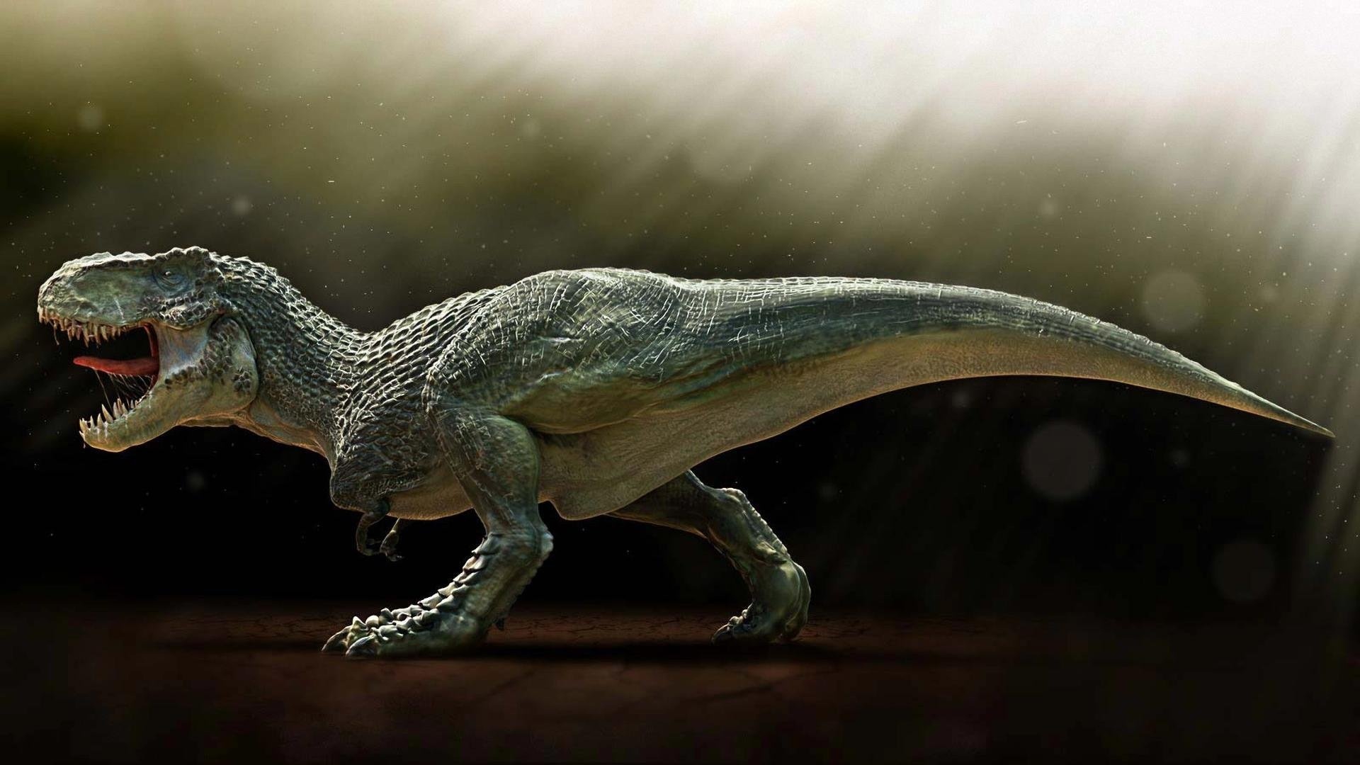 Tyrannosaurus Rex, Powerful predator, Mesozoic era, Fossil record, 1920x1080 Full HD Desktop