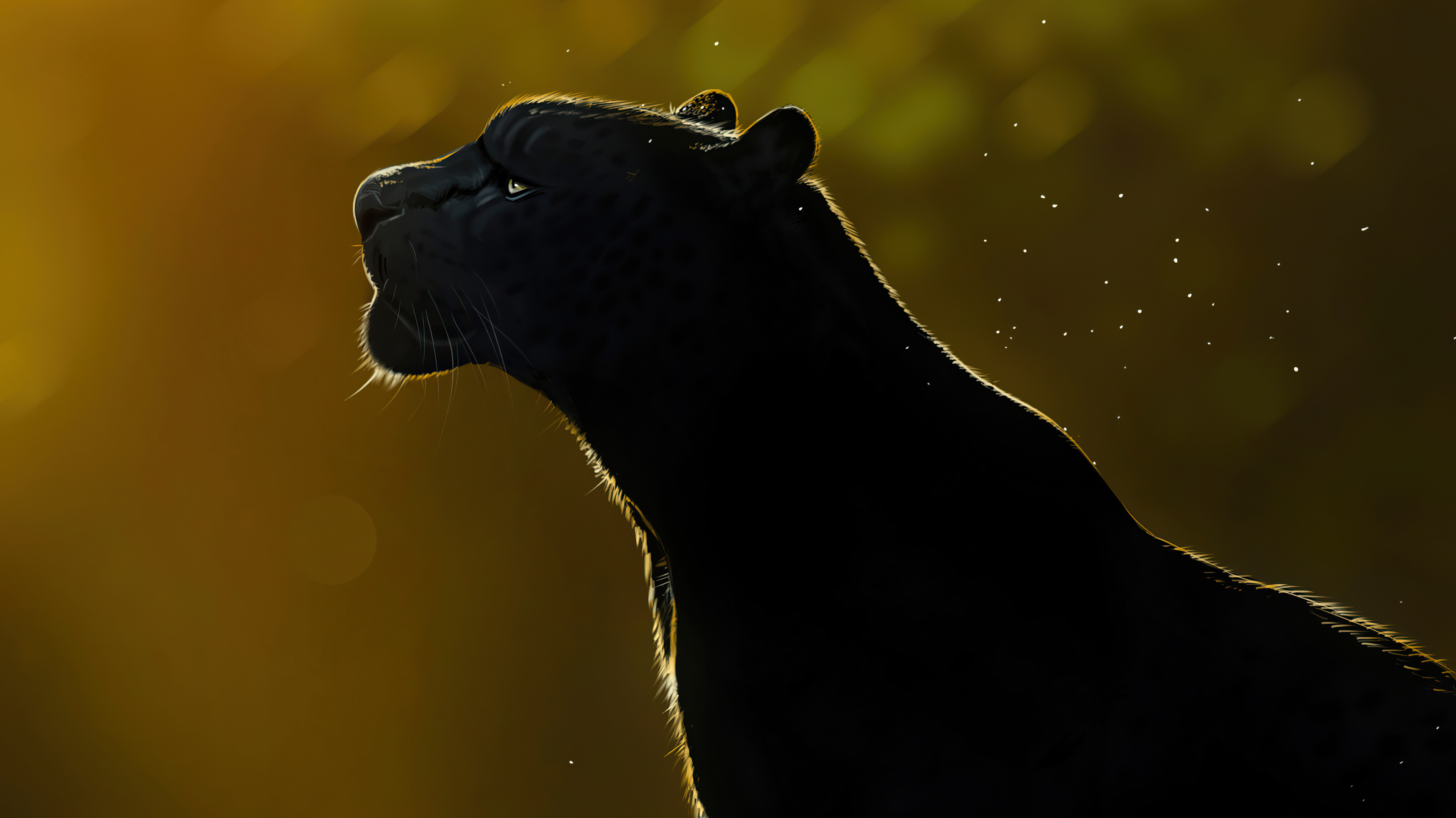 Black Panther (Animal): A leopard or jaguar which has the melanism gene dominant. 3840x2160 4K Background.