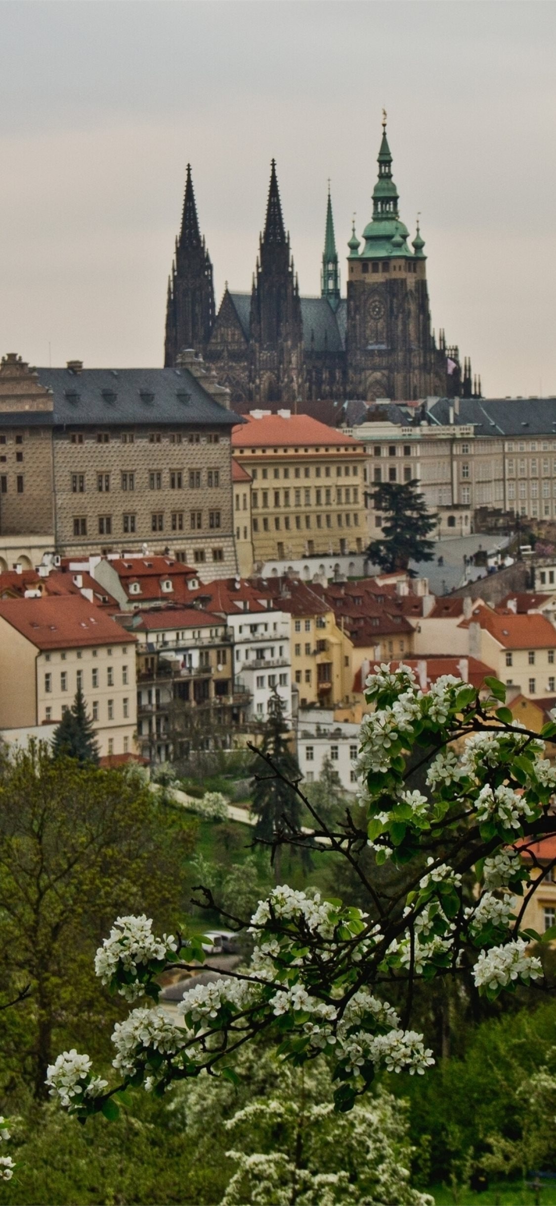 Czechia (Czech Republic): St. Vitus Cathedral, The seat of the Archbishop of Prague. 1130x2440 HD Wallpaper.