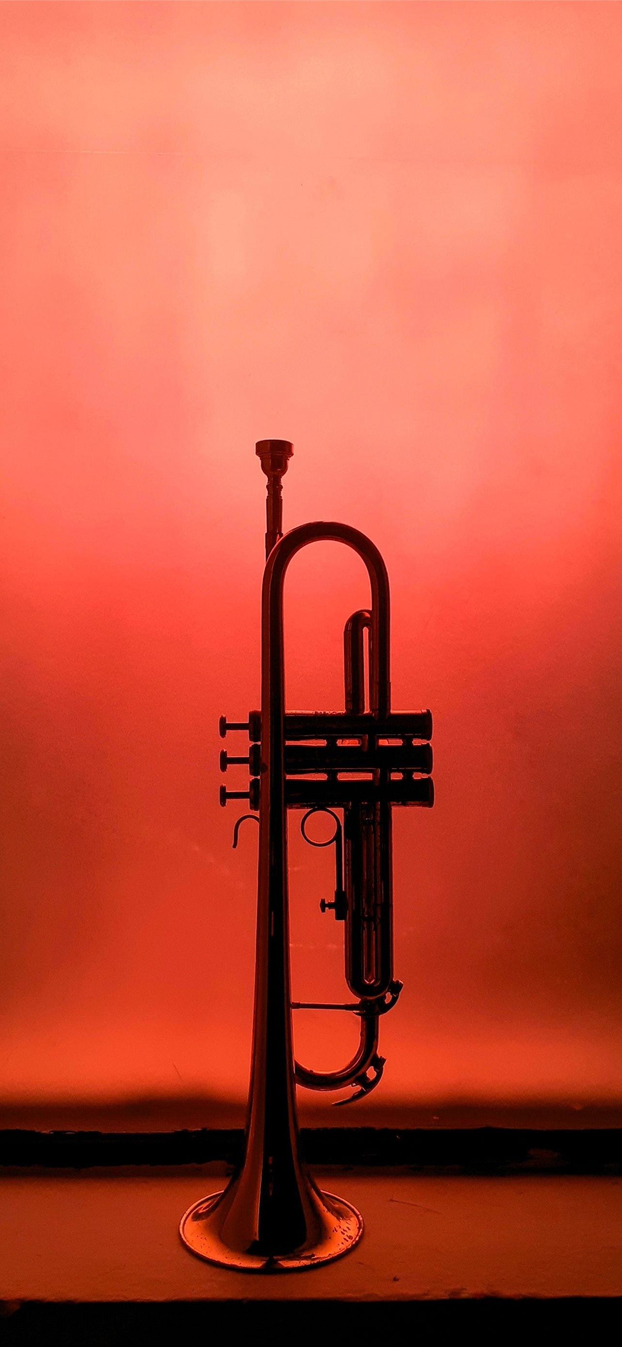 Trumpet: Valved aerophone sounded by lip movement, The strongest of all orchestral instruments. 1290x2780 HD Background.