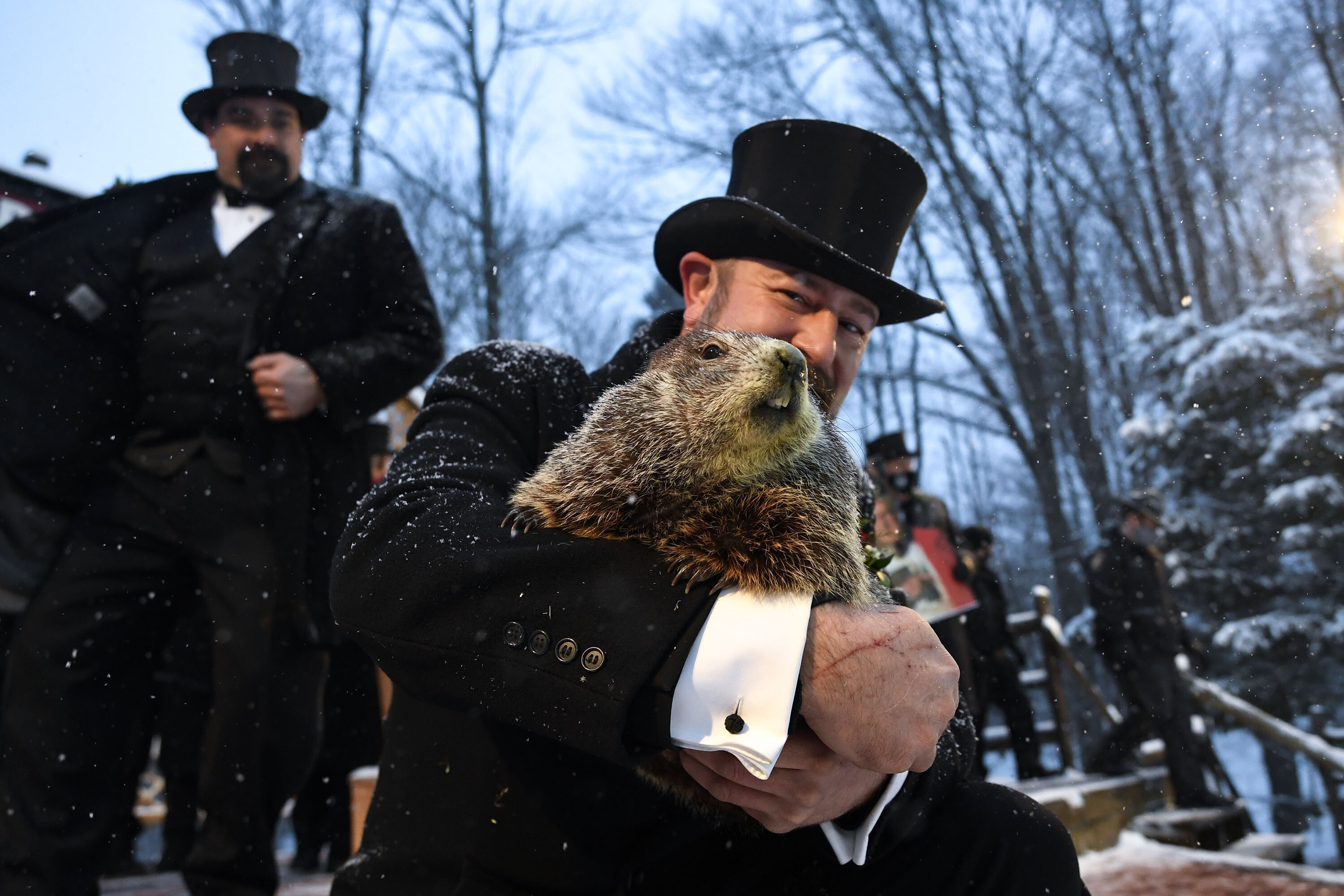 Groundhog Day (Holiday): The central figure in Punxsutawney's annual celebration. 3000x2000 HD Wallpaper.