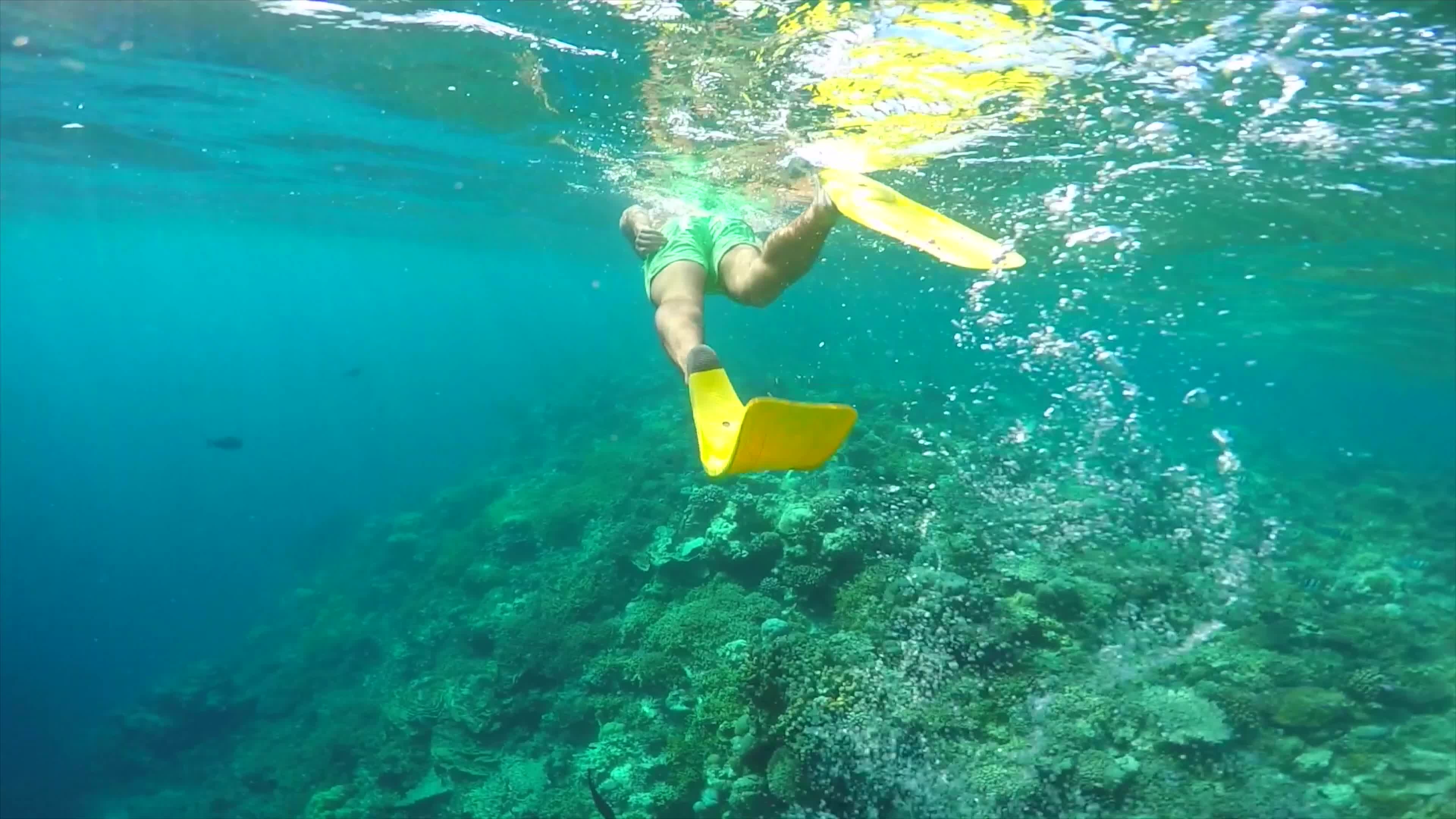 Snorkeling: Snorkel gear, Fins, Underwater swimming, Diving, Swimwear. 3840x2160 4K Wallpaper.
