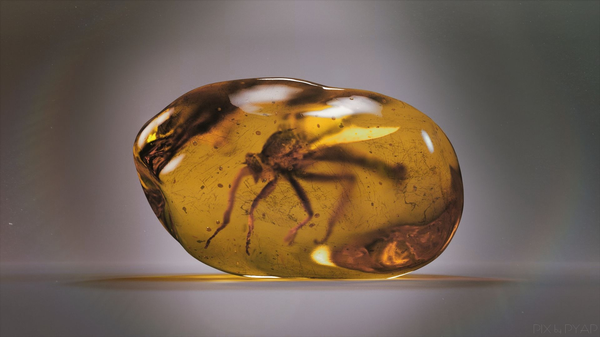 Insectes fossiles dans de l'ambre PYAP ONLINE. FR 1920x1080