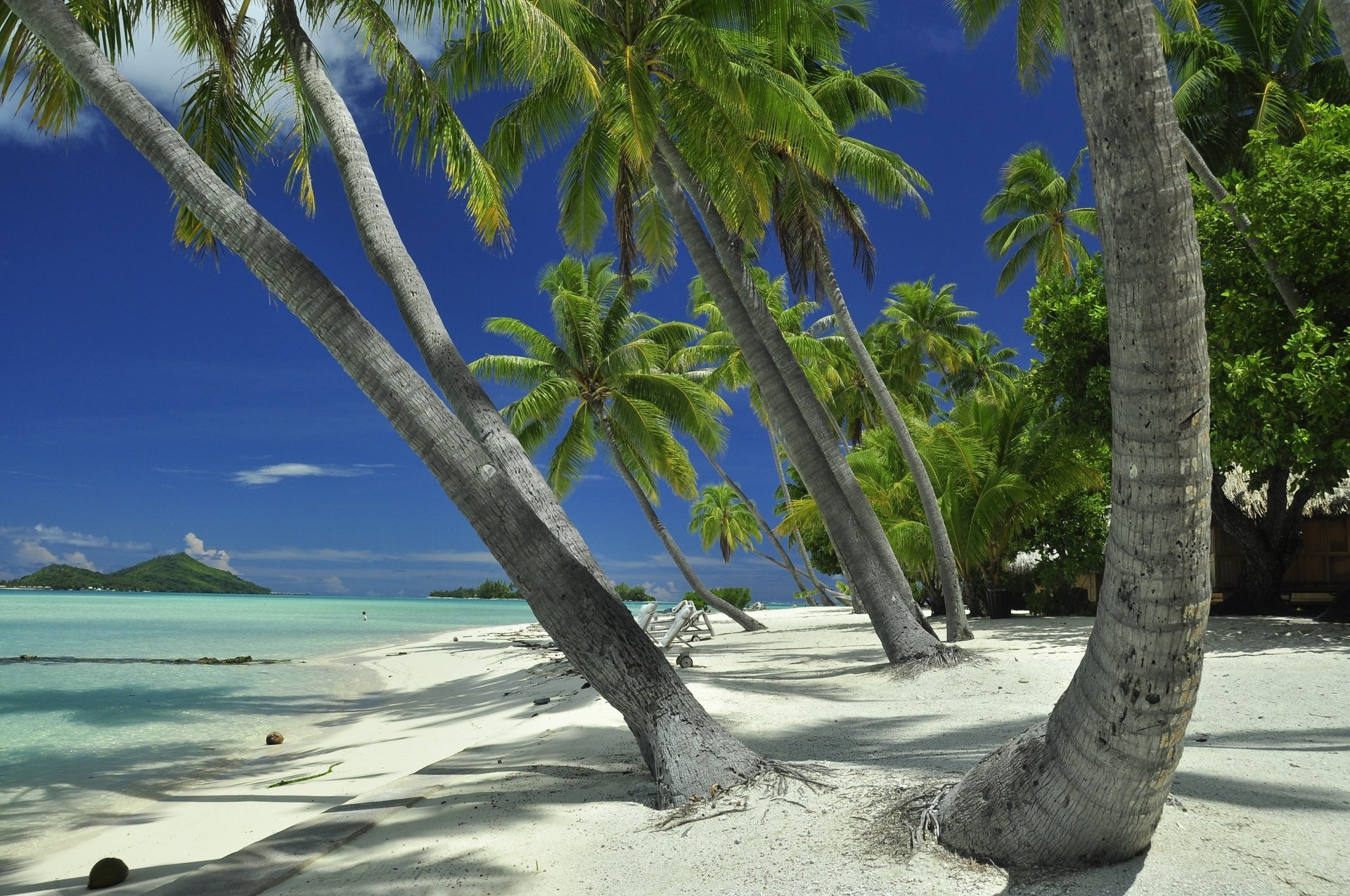 French Polynesia, HD wallpapers, Stunning backgrounds, Tropical paradise, 1920x1280 HD Desktop