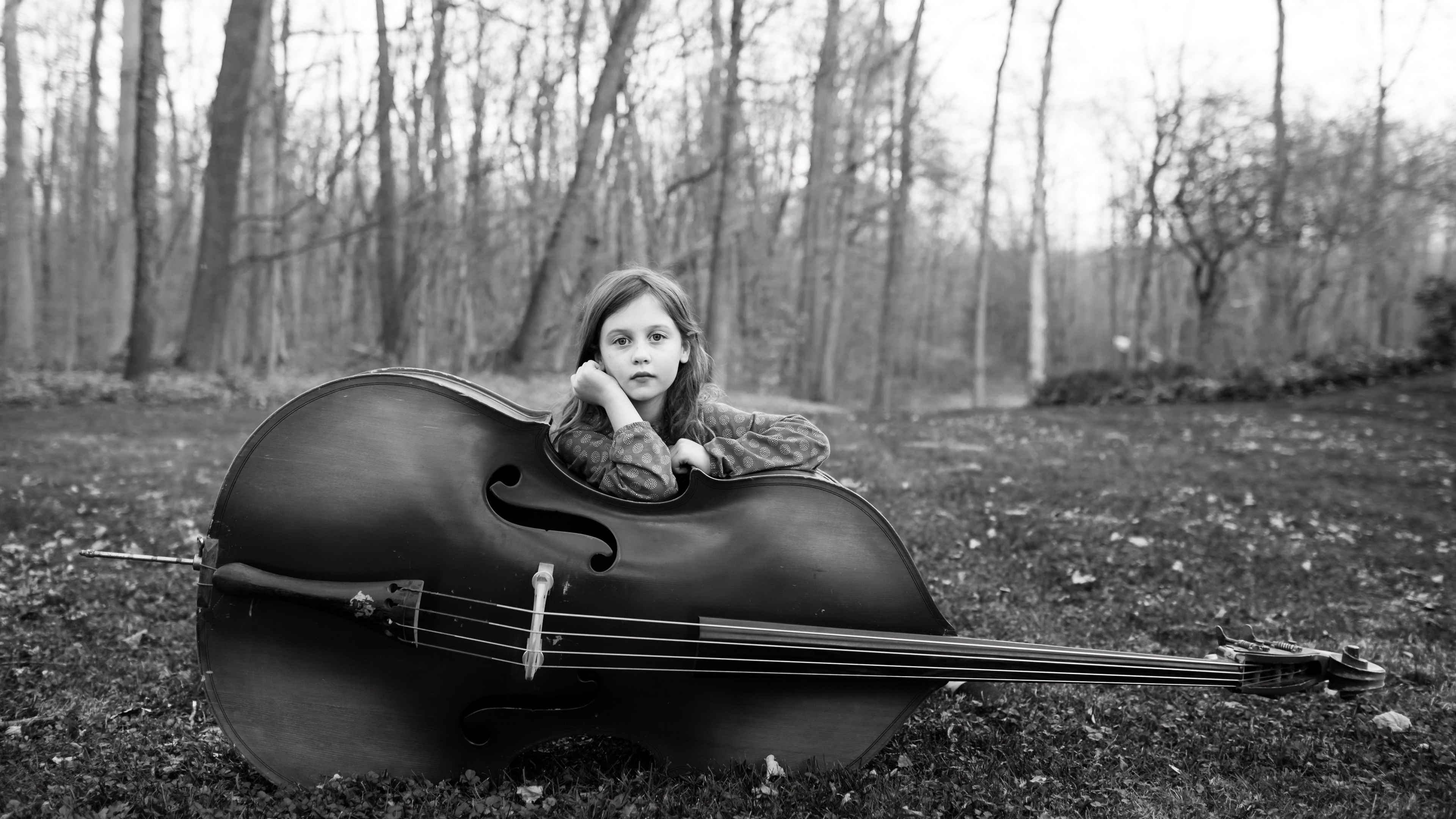Double Bass: Monochrome, The Largest String Instrument In The Modern Symphony Orchestra. 3840x2160 4K Background.