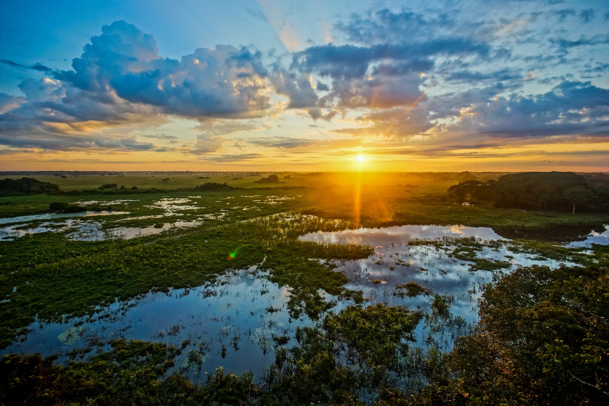 Pantanal Matogrossense, Captivating images, Free downloads, Nature's wonders, 2050x1370 HD Desktop