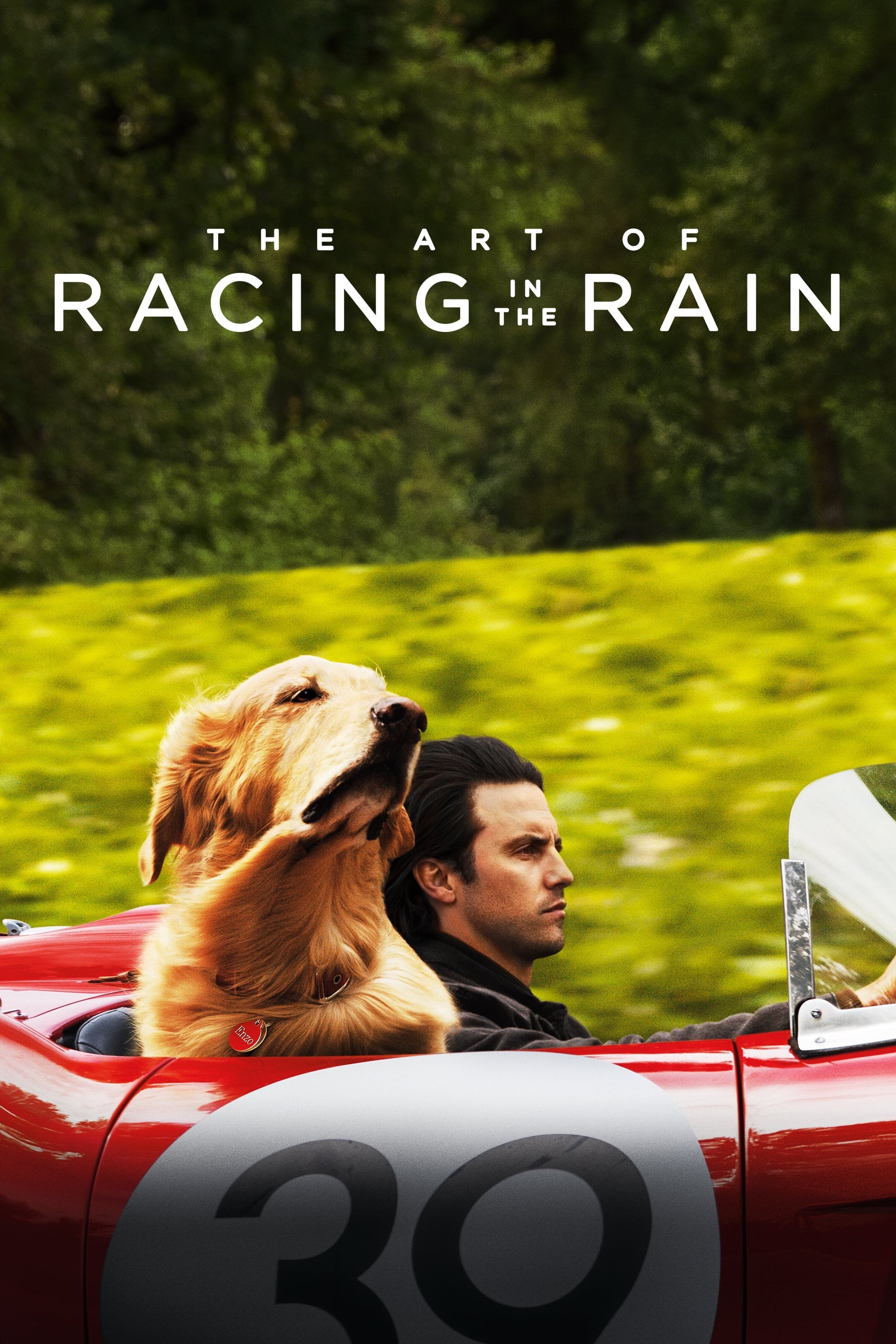 The Art of Racing in the Rain, Movie posters, The Movie Database, Captivating visuals, 2000x3000 HD Phone