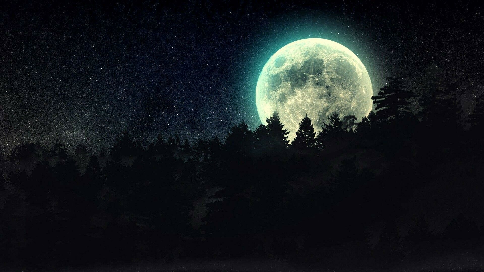Moonlight: Nightfall, Moon illuminating the tops of trees. 1920x1080 Full HD Background.