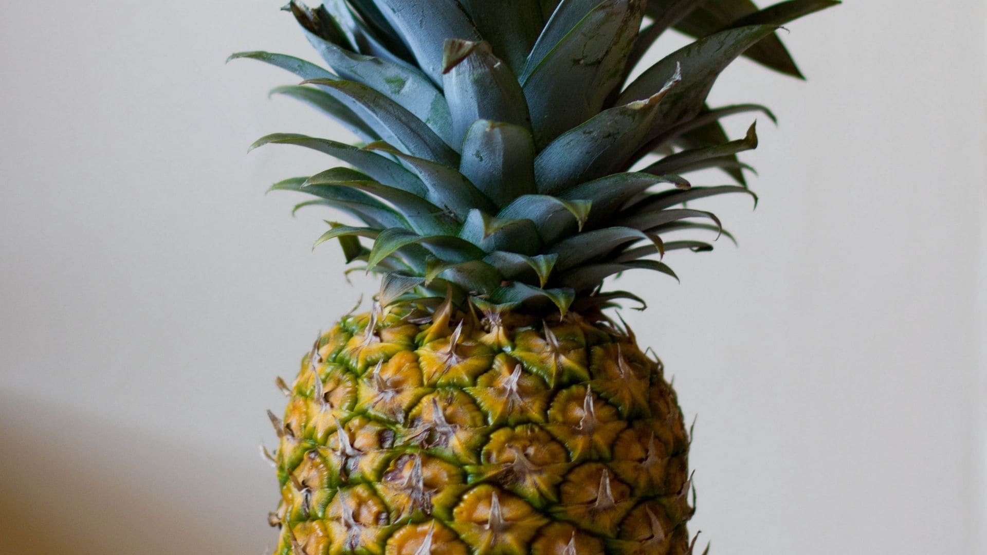 Pineapple: An herbaceous perennial tropical plant bearing an edible fruit. 1920x1080 Full HD Wallpaper.