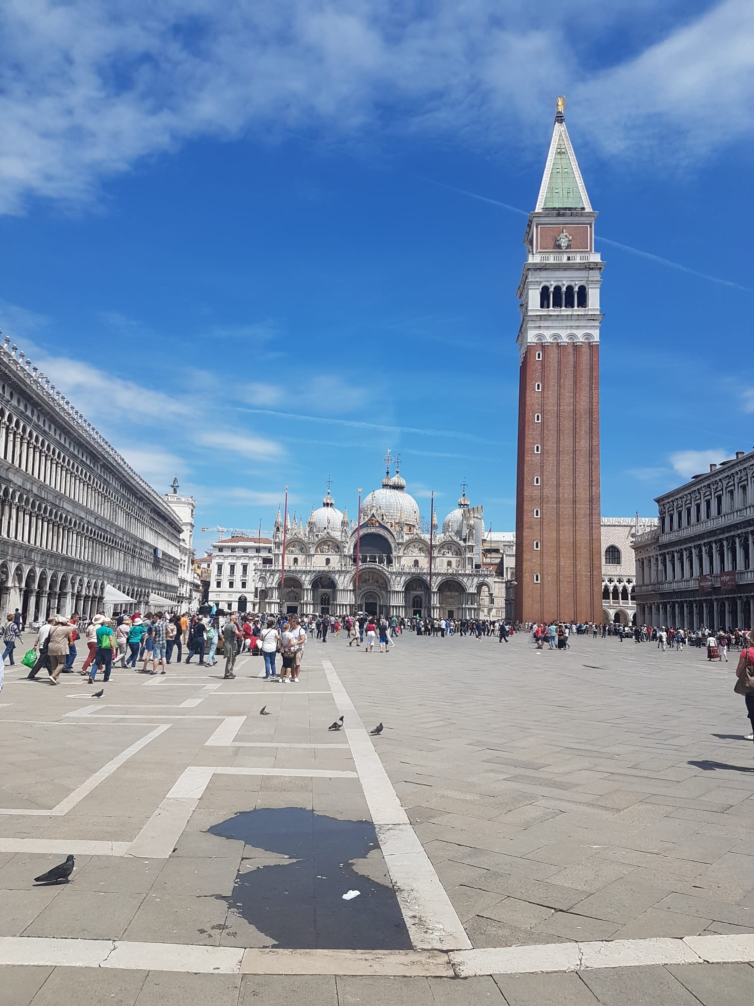 Lockdown at St. Mark's Square, Venice's transformation, Private tours, Local guide's insight, 1520x2020 HD Phone