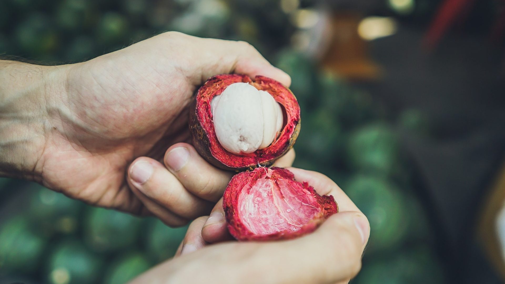 Mangosteen: The edible endocarp of the has the same shape and size as a tangerine. 1920x1080 Full HD Wallpaper.