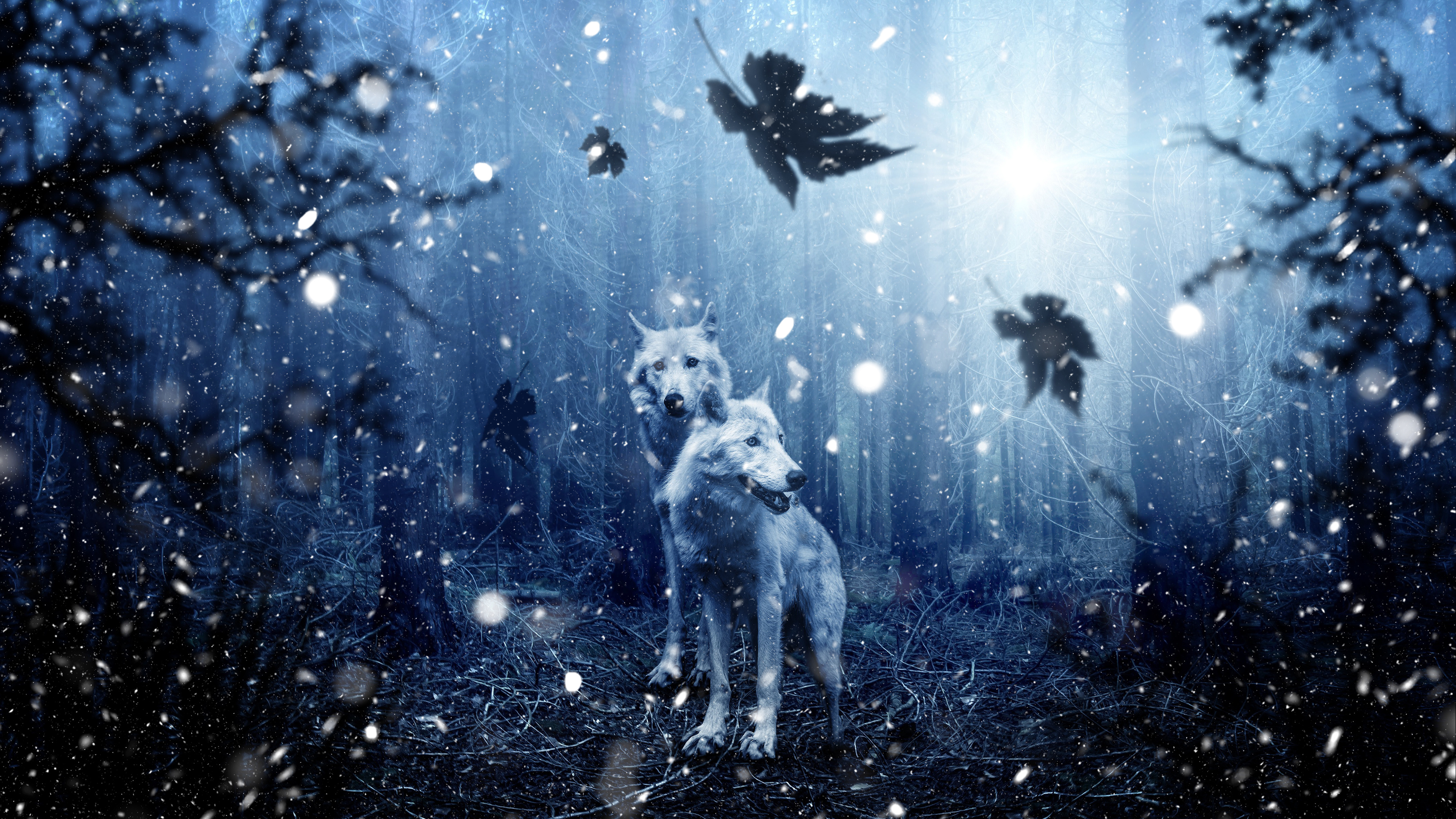 Ice Wolf, Majestic creature, Snowy wilderness, Frozen gaze, 3840x2160 4K Desktop