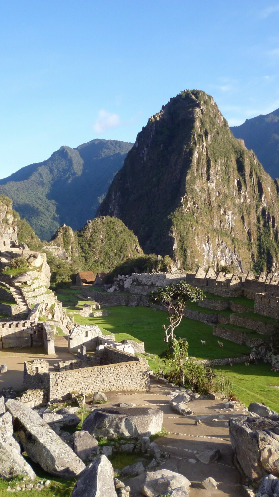 Machu Picchu: Peruvian Andes, Mountain, Monuments, Ruins, Inca city. 1080x1920 Full HD Wallpaper.