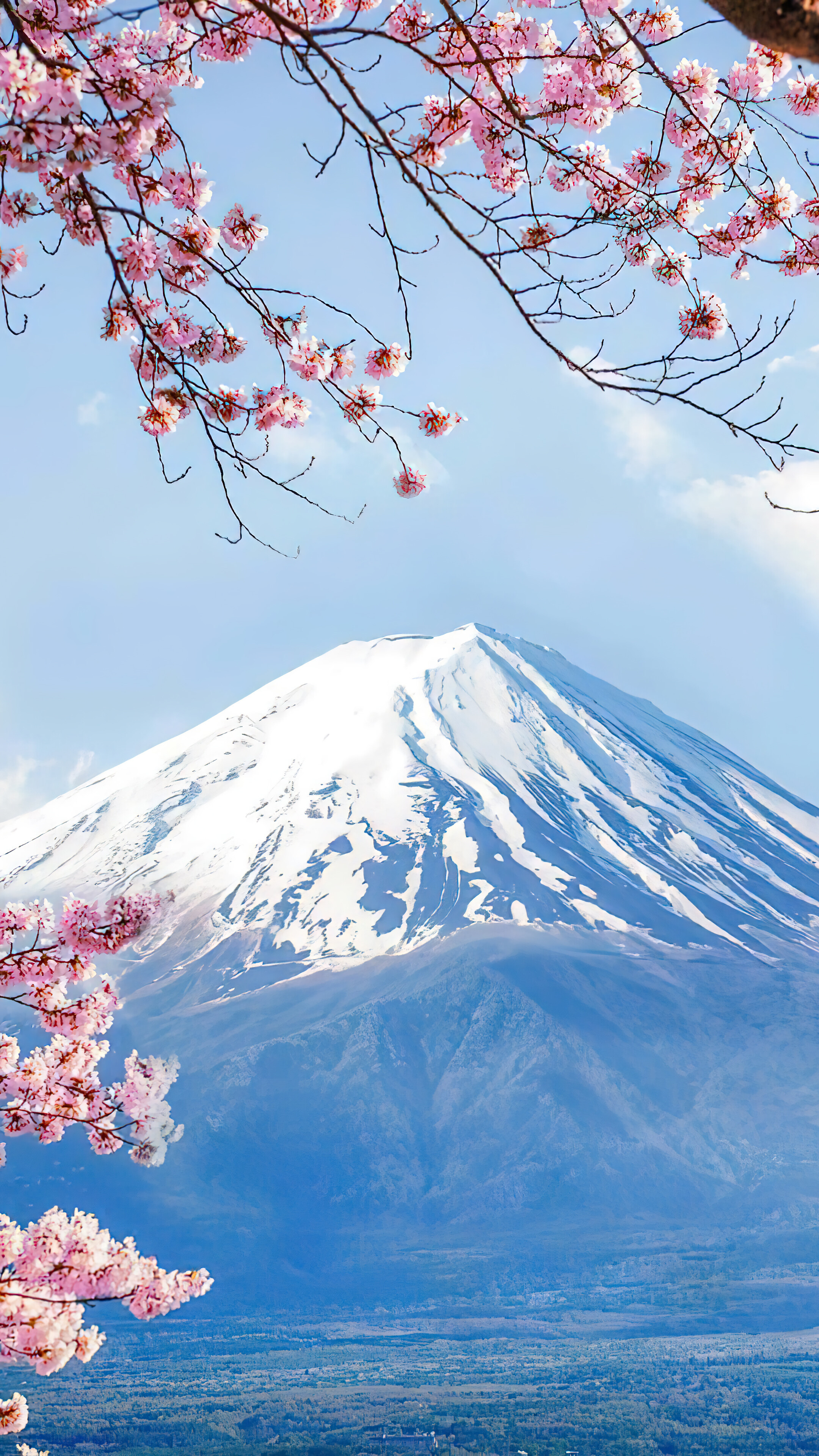 Mount Fuji splendor, Cherry blossom magic, Serene landscapes, Picturesque views, 2160x3840 4K Phone