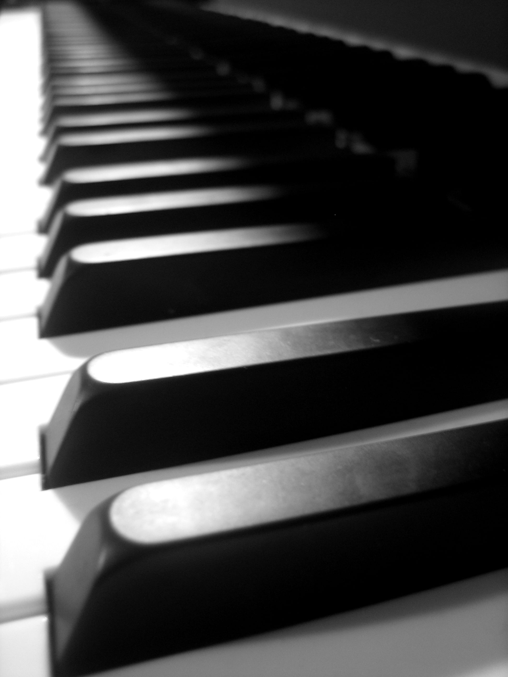 Piano: White And Back Keys, The Seven "Natural" Notes Of Each Octave. 1950x2600 HD Background.